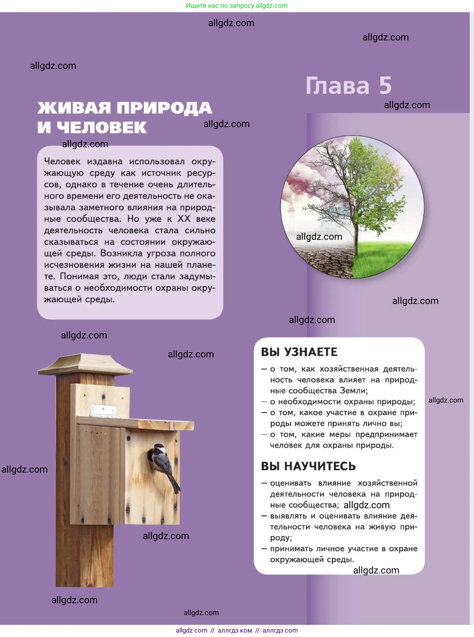 Биология, 5 класс Учебник, авторы: Пасечник Владимир Васильевич, Суматохин Сергей Витальевич, Гапонюк Зоя Георгиевна, Швецов Глеб Геннадьевич, издательство Просвещение, Москва, 2023, белого цвета, страница 149