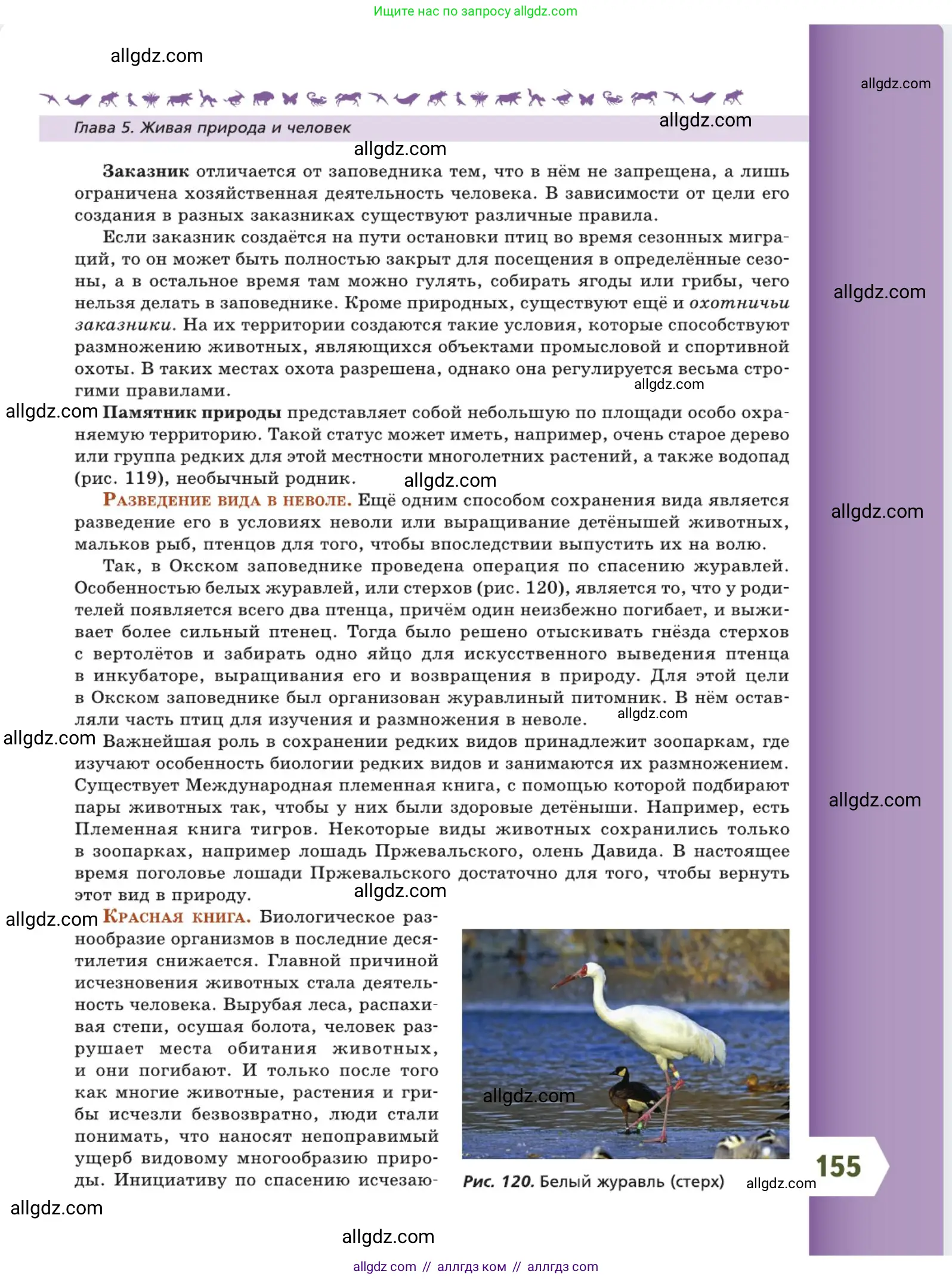 Биология, 5 класс Учебник, авторы: Пасечник Владимир Васильевич, Суматохин Сергей Витальевич, Гапонюк Зоя Георгиевна, Швецов Глеб Геннадьевич, издательство Просвещение, Москва, 2023, белого цвета, страница 155