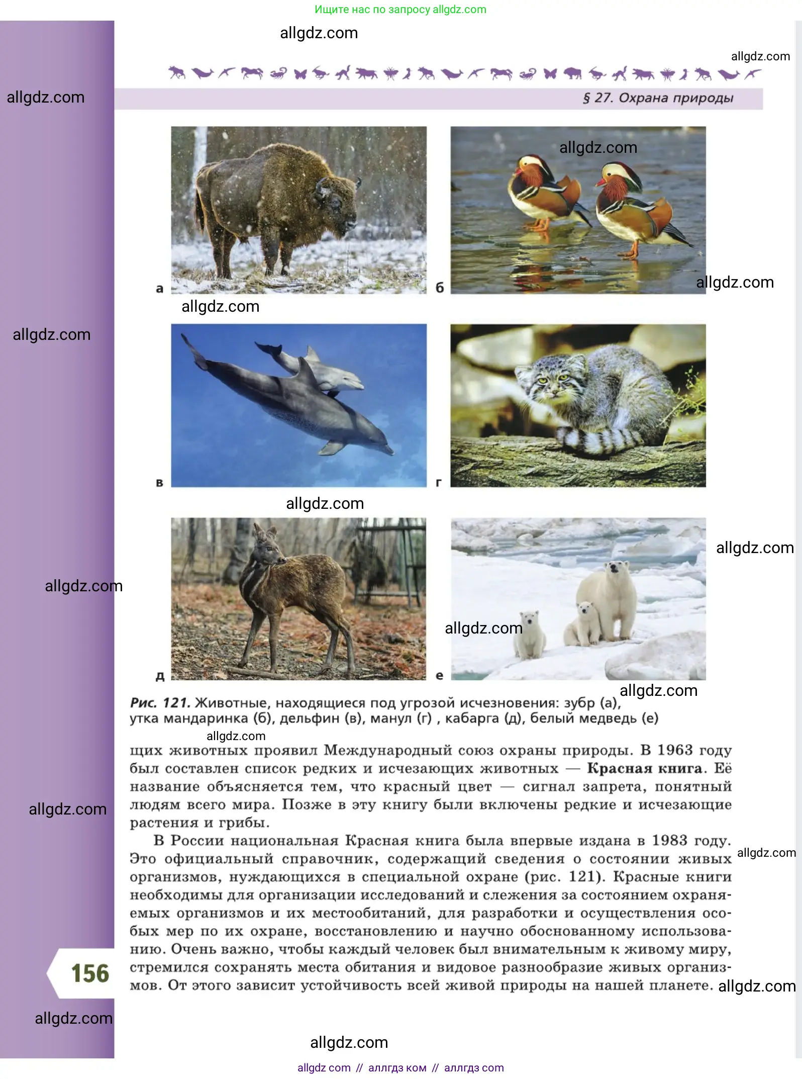 Биология, 5 класс Учебник, авторы: Пасечник Владимир Васильевич, Суматохин Сергей Витальевич, Гапонюк Зоя Георгиевна, Швецов Глеб Геннадьевич, издательство Просвещение, Москва, 2023, белого цвета, страница 156