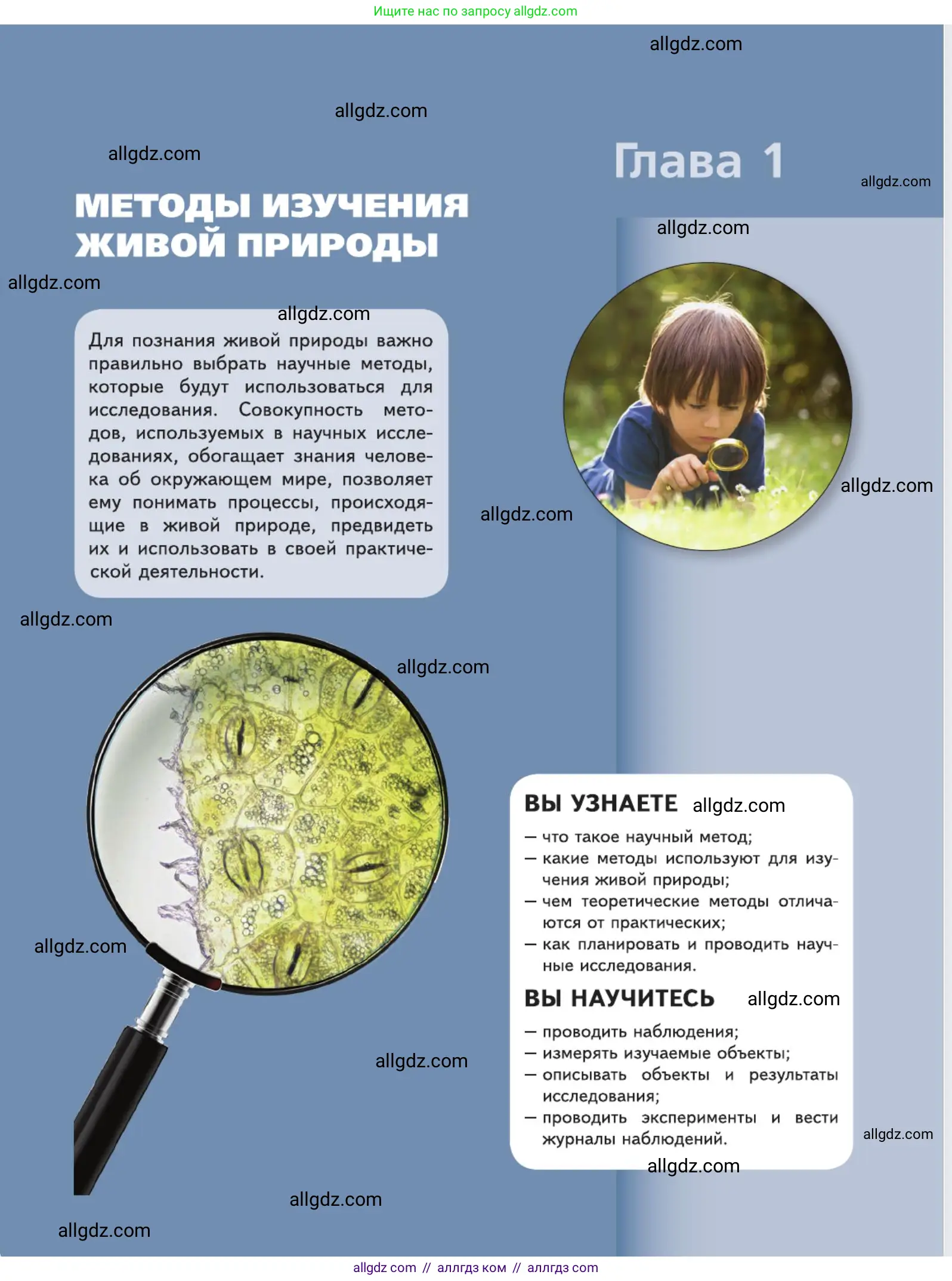 Биология, 5 класс Учебник, авторы: Пасечник Владимир Васильевич, Суматохин Сергей Витальевич, Гапонюк Зоя Георгиевна, Швецов Глеб Геннадьевич, издательство Просвещение, Москва, 2023, белого цвета, страница 27