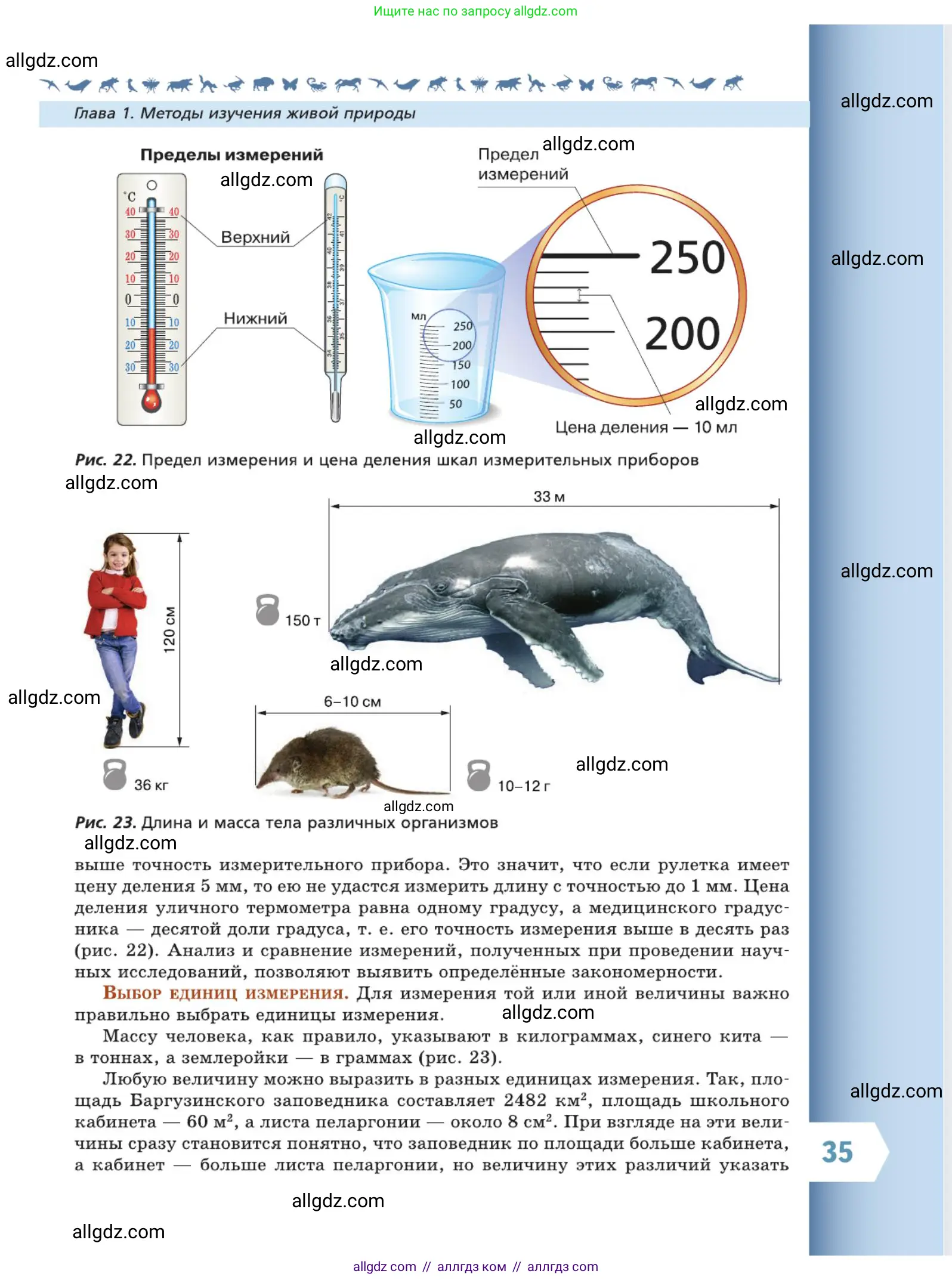 Биология, 5 класс Учебник, авторы: Пасечник Владимир Васильевич, Суматохин Сергей Витальевич, Гапонюк Зоя Георгиевна, Швецов Глеб Геннадьевич, издательство Просвещение, Москва, 2023, белого цвета, страница 35