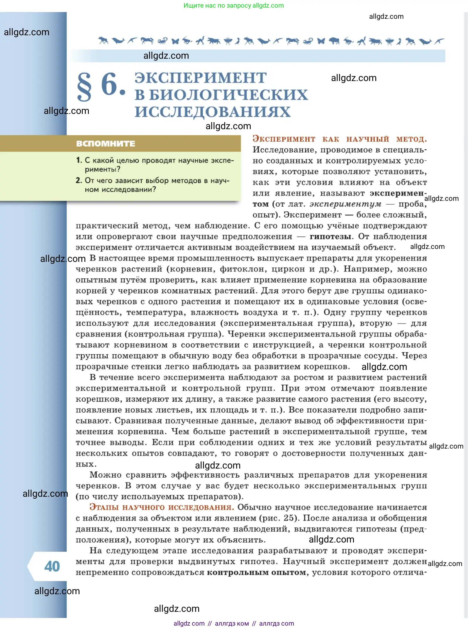 Биология, 5 класс Учебник, авторы: Пасечник Владимир Васильевич, Суматохин Сергей Витальевич, Гапонюк Зоя Георгиевна, Швецов Глеб Геннадьевич, издательство Просвещение, Москва, 2023, белого цвета, страница 40