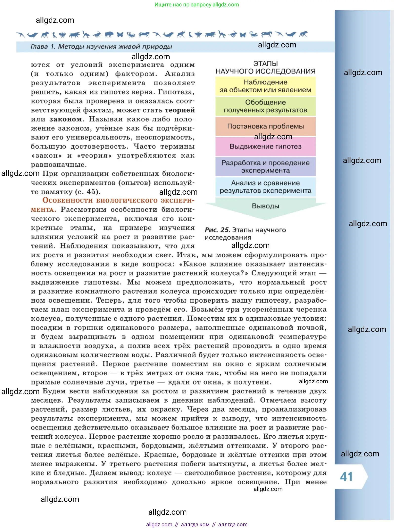 Биология, 5 класс Учебник, авторы: Пасечник Владимир Васильевич, Суматохин Сергей Витальевич, Гапонюк Зоя Георгиевна, Швецов Глеб Геннадьевич, издательство Просвещение, Москва, 2023, белого цвета, страница 41