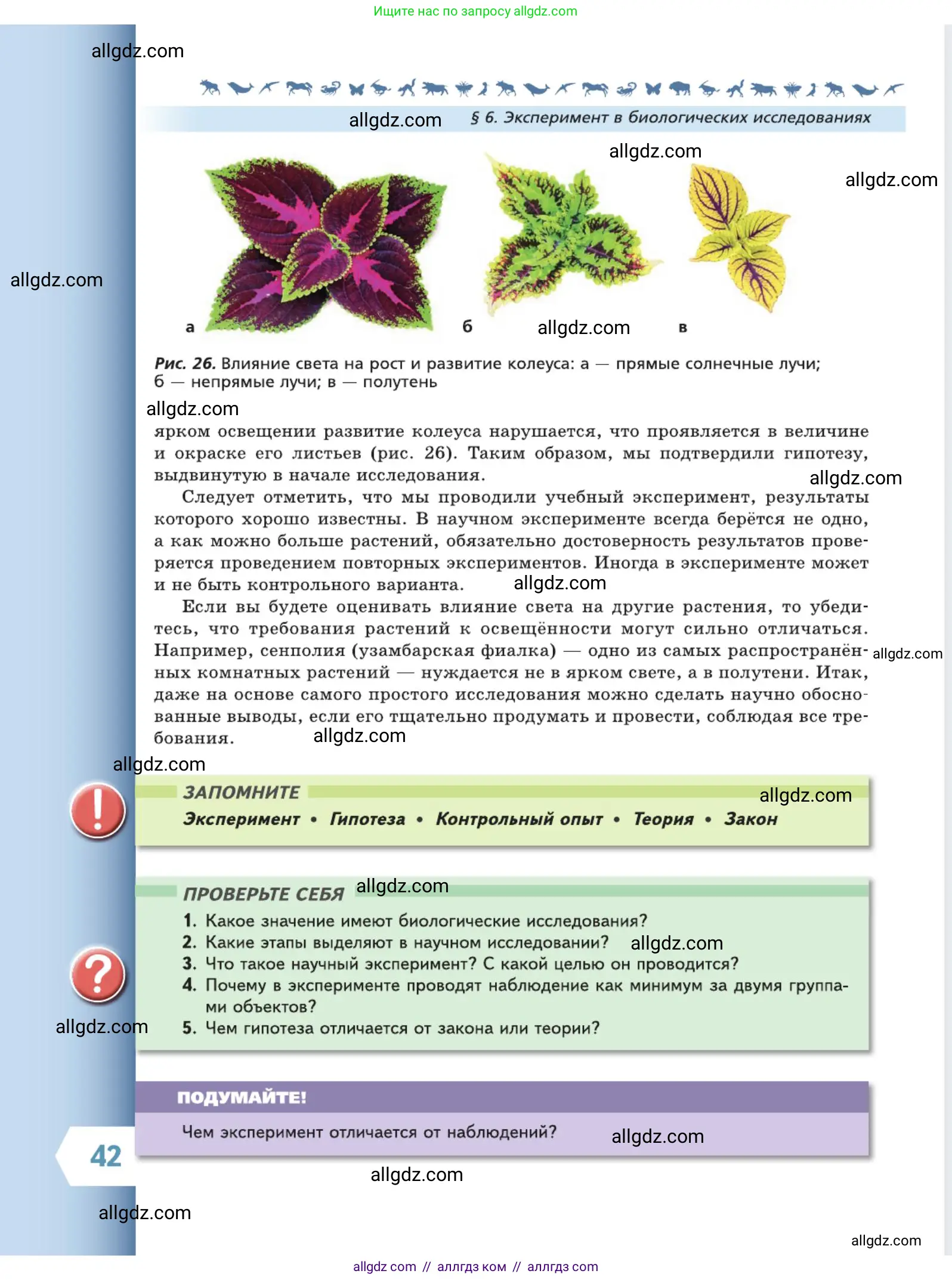 Биология, 5 класс Учебник, авторы: Пасечник Владимир Васильевич, Суматохин Сергей Витальевич, Гапонюк Зоя Георгиевна, Швецов Глеб Геннадьевич, издательство Просвещение, Москва, 2023, белого цвета, страница 42