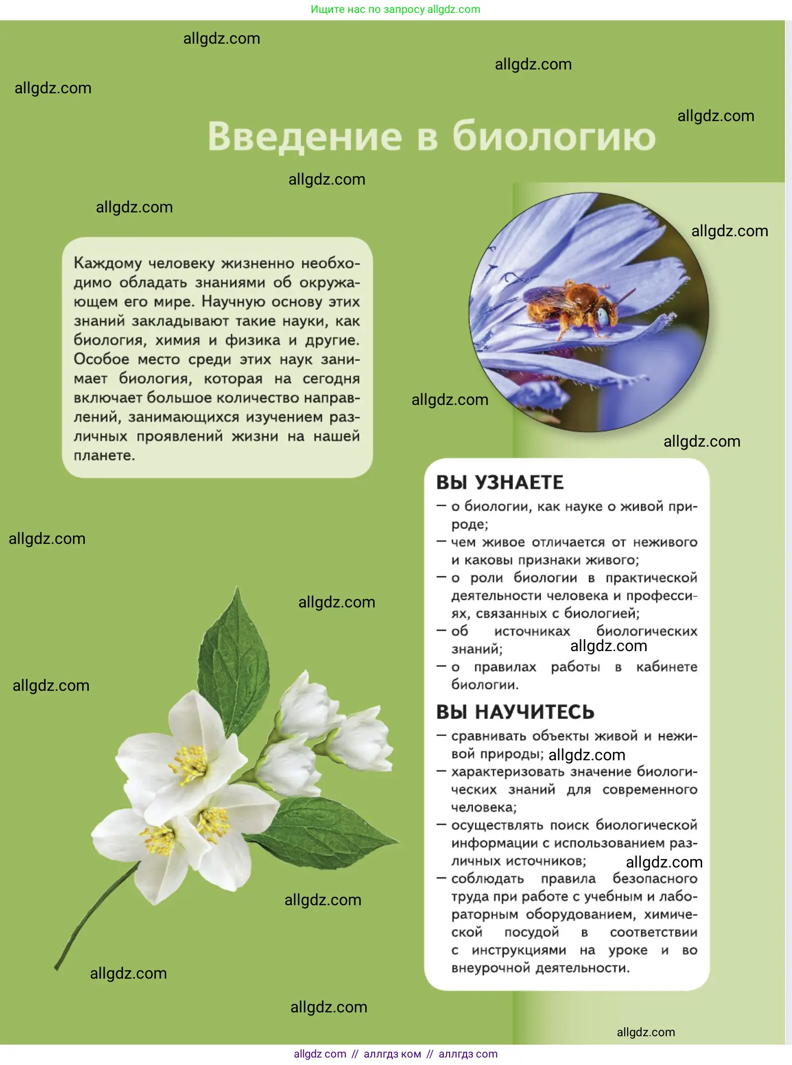 Биология, 5 класс Учебник, авторы: Пасечник Владимир Васильевич, Суматохин Сергей Витальевич, Гапонюк Зоя Георгиевна, Швецов Глеб Геннадьевич, издательство Просвещение, Москва, 2023, белого цвета, страница 5