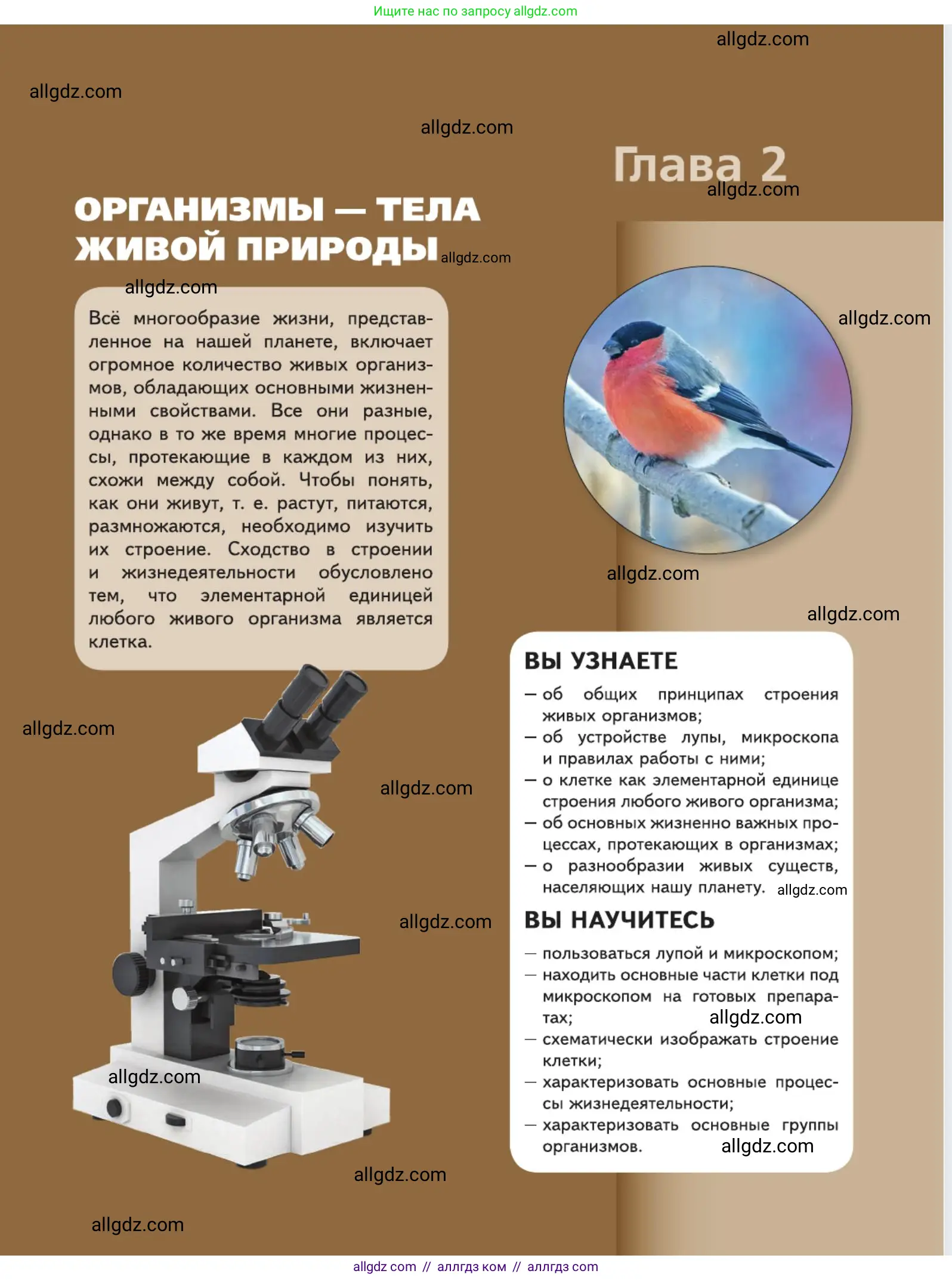 Биология, 5 класс Учебник, авторы: Пасечник Владимир Васильевич, Суматохин Сергей Витальевич, Гапонюк Зоя Георгиевна, Швецов Глеб Геннадьевич, издательство Просвещение, Москва, 2023, белого цвета, страница 53