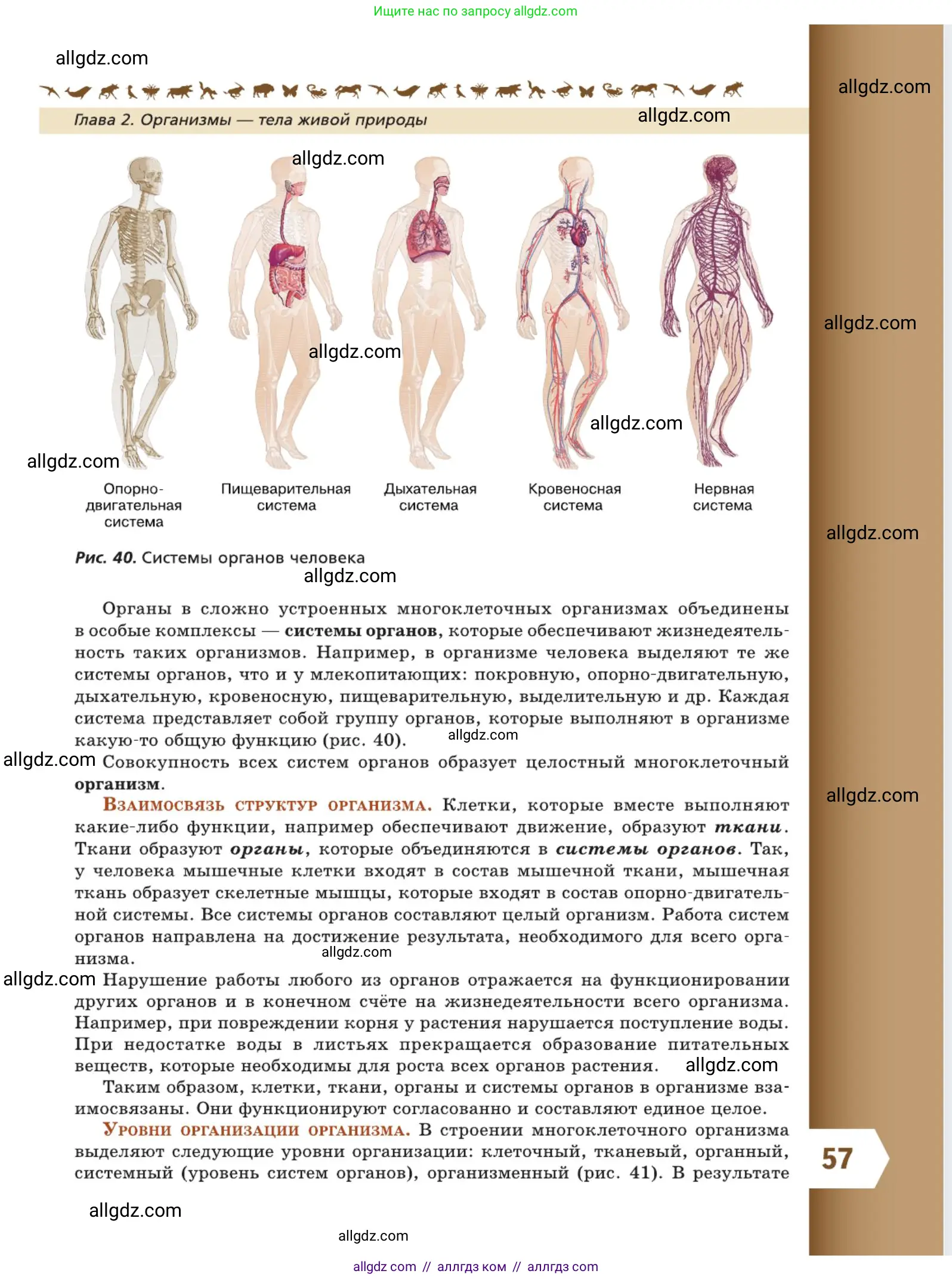 Биология, 5 класс Учебник, авторы: Пасечник Владимир Васильевич, Суматохин Сергей Витальевич, Гапонюк Зоя Георгиевна, Швецов Глеб Геннадьевич, издательство Просвещение, Москва, 2023, белого цвета, страница 57