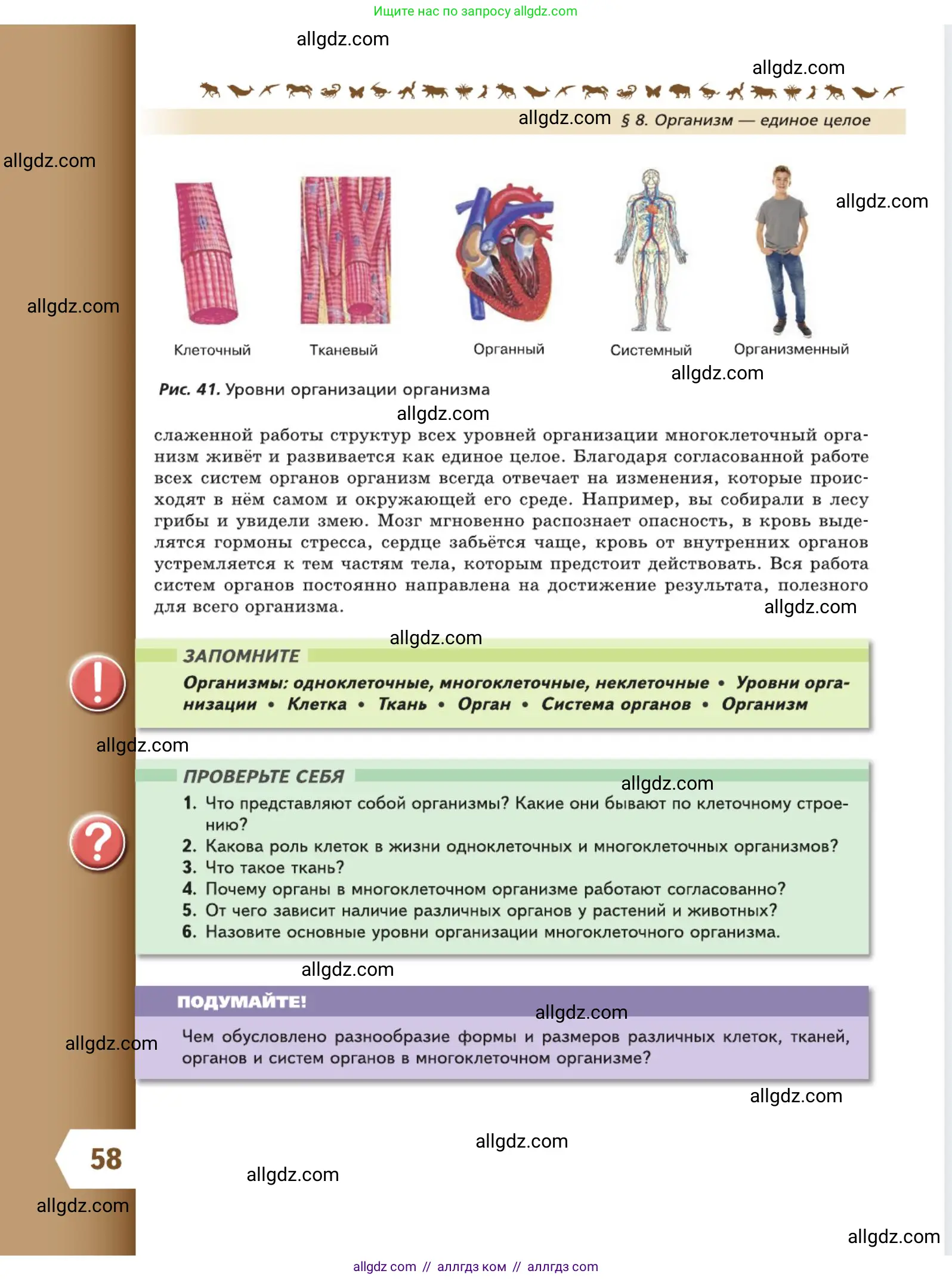 Биология, 5 класс Учебник, авторы: Пасечник Владимир Васильевич, Суматохин Сергей Витальевич, Гапонюк Зоя Георгиевна, Швецов Глеб Геннадьевич, издательство Просвещение, Москва, 2023, белого цвета, страница 58