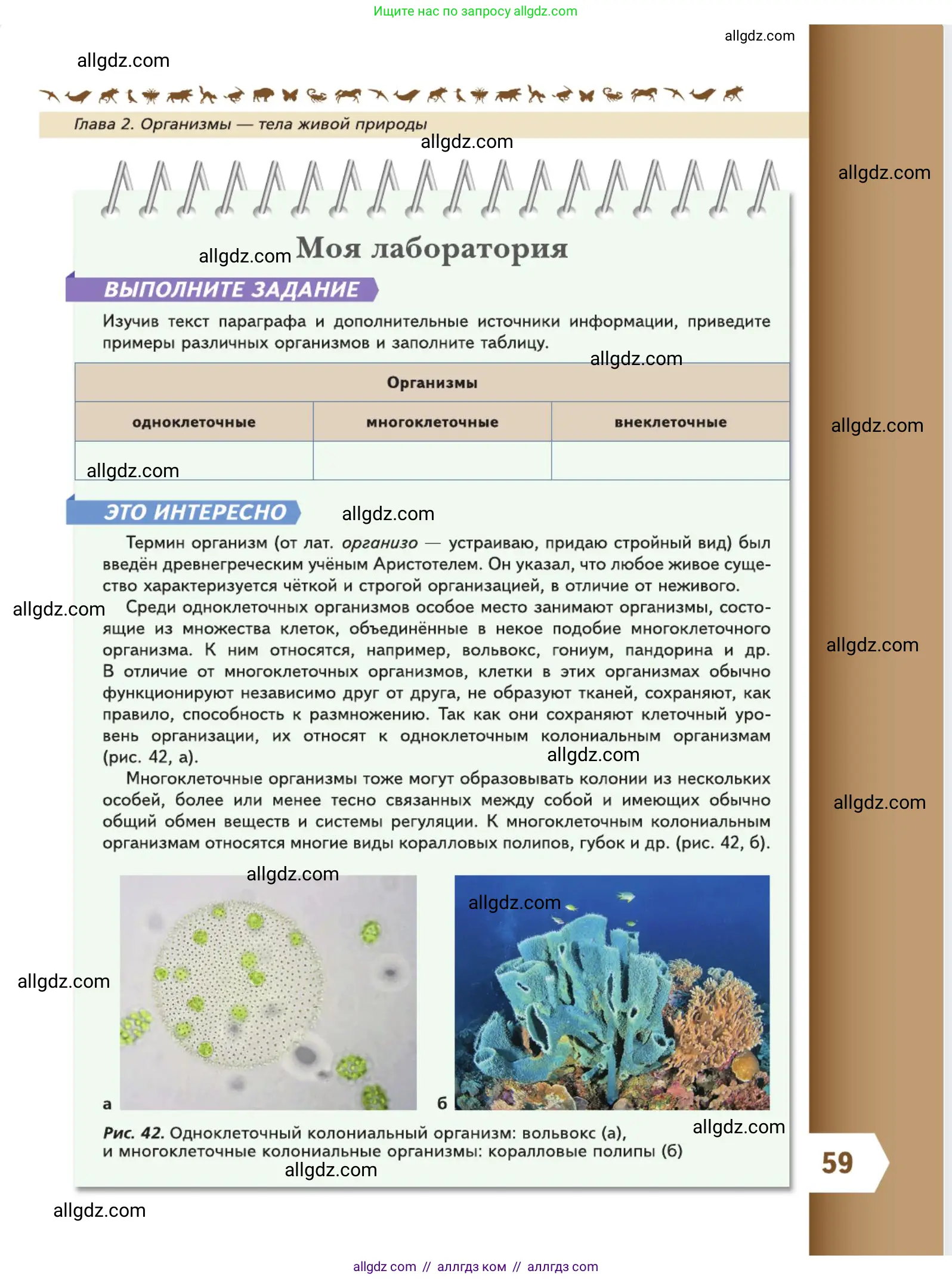 Биология, 5 класс Учебник, авторы: Пасечник Владимир Васильевич, Суматохин Сергей Витальевич, Гапонюк Зоя Георгиевна, Швецов Глеб Геннадьевич, издательство Просвещение, Москва, 2023, белого цвета, страница 59