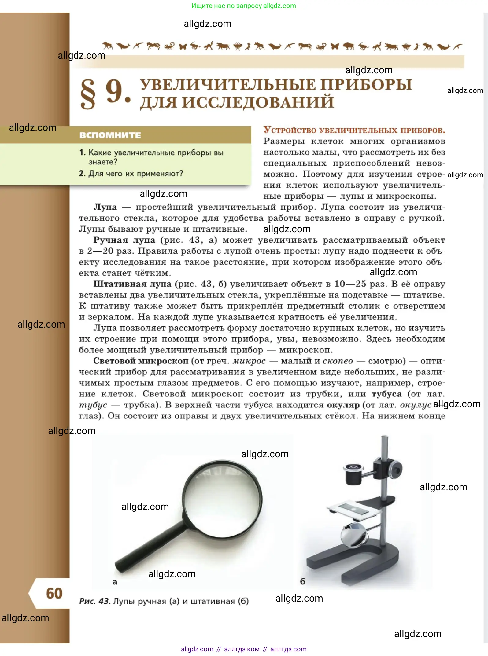 Биология, 5 класс Учебник, авторы: Пасечник Владимир Васильевич, Суматохин Сергей Витальевич, Гапонюк Зоя Георгиевна, Швецов Глеб Геннадьевич, издательство Просвещение, Москва, 2023, белого цвета, страница 60
