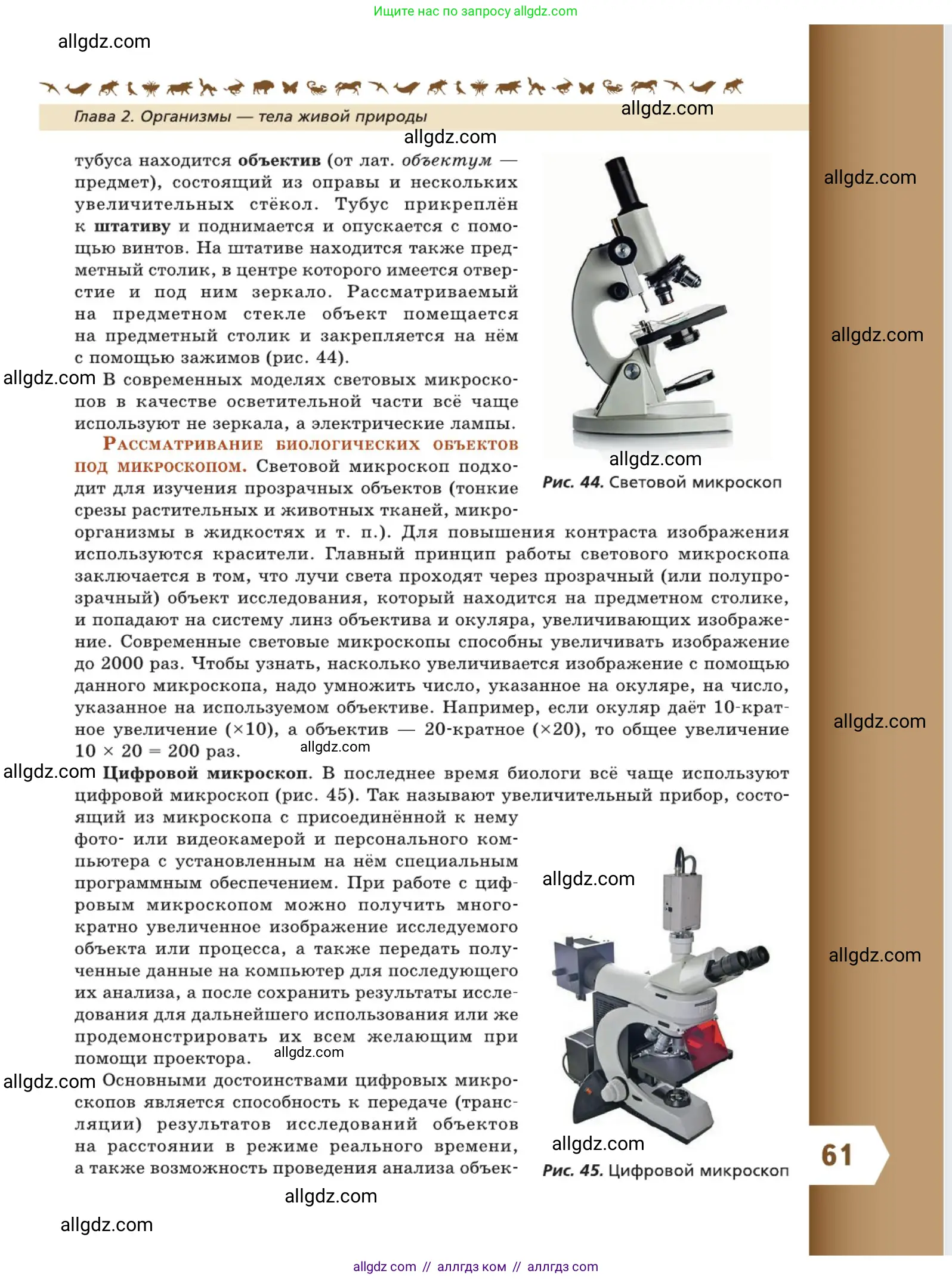 Биология, 5 класс Учебник, авторы: Пасечник Владимир Васильевич, Суматохин Сергей Витальевич, Гапонюк Зоя Георгиевна, Швецов Глеб Геннадьевич, издательство Просвещение, Москва, 2023, белого цвета, страница 61