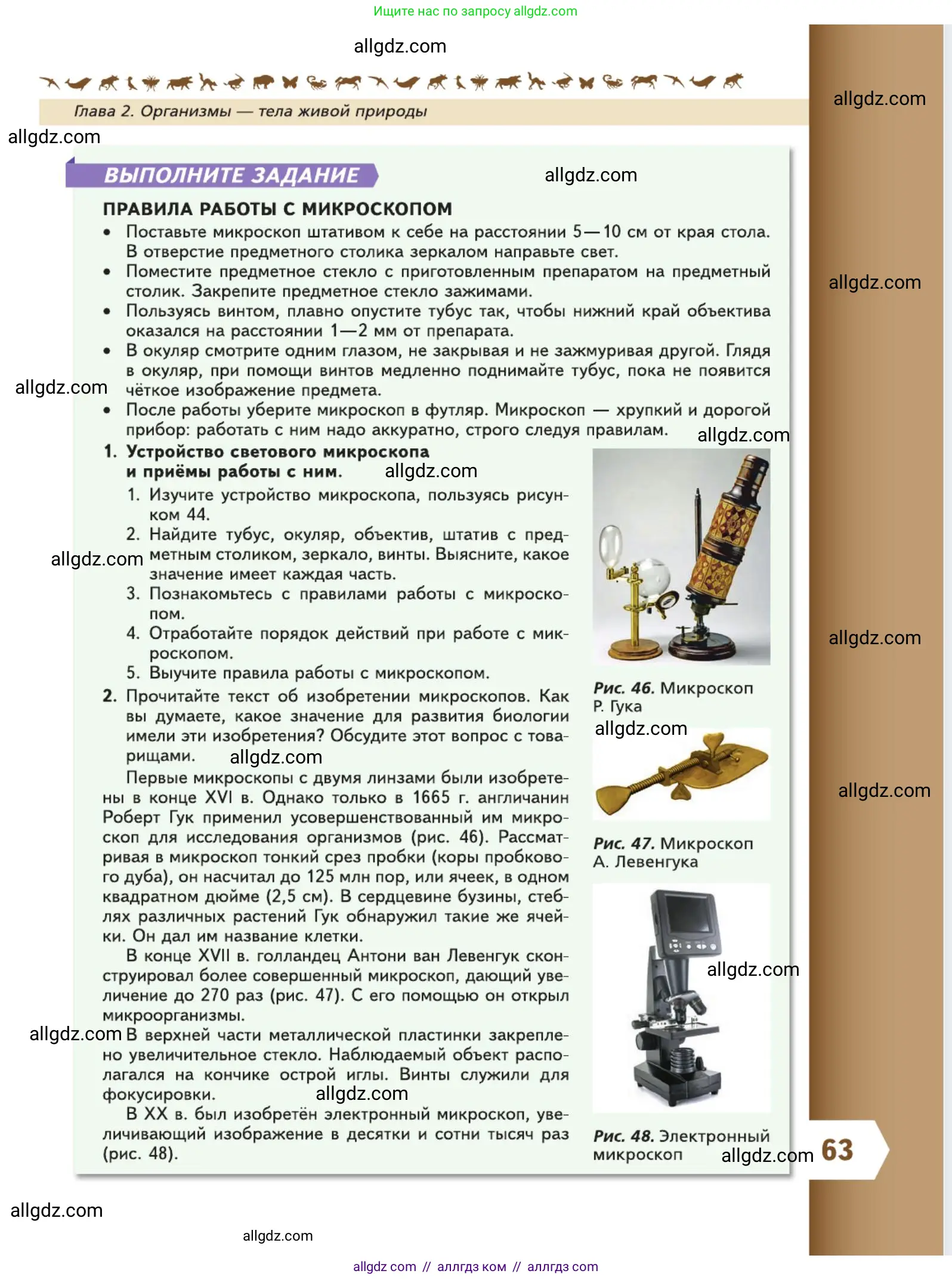 Биология, 5 класс Учебник, авторы: Пасечник Владимир Васильевич, Суматохин Сергей Витальевич, Гапонюк Зоя Георгиевна, Швецов Глеб Геннадьевич, издательство Просвещение, Москва, 2023, белого цвета, страница 63