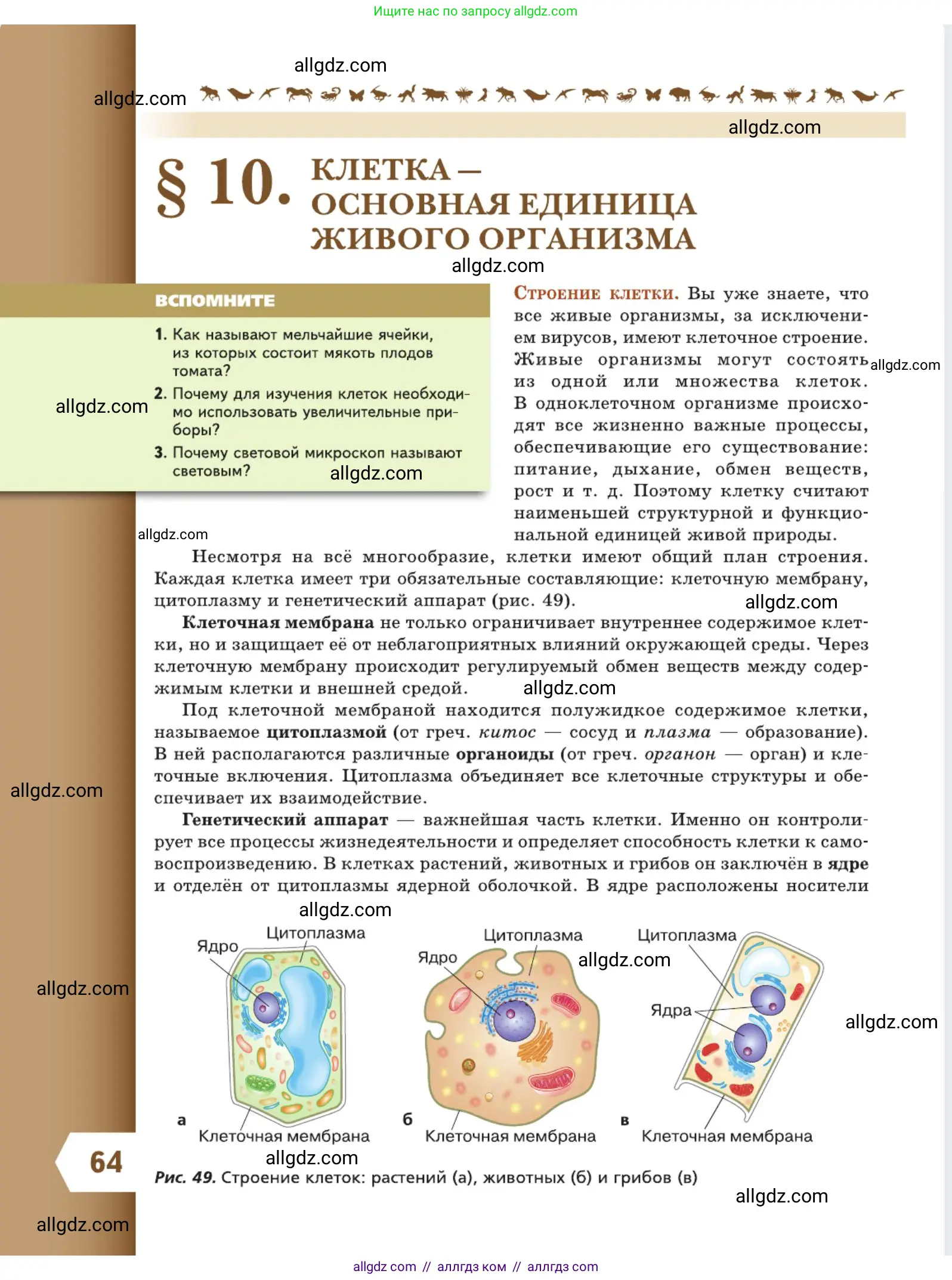 Биология, 5 класс Учебник, авторы: Пасечник Владимир Васильевич, Суматохин Сергей Витальевич, Гапонюк Зоя Георгиевна, Швецов Глеб Геннадьевич, издательство Просвещение, Москва, 2023, белого цвета, страница 64