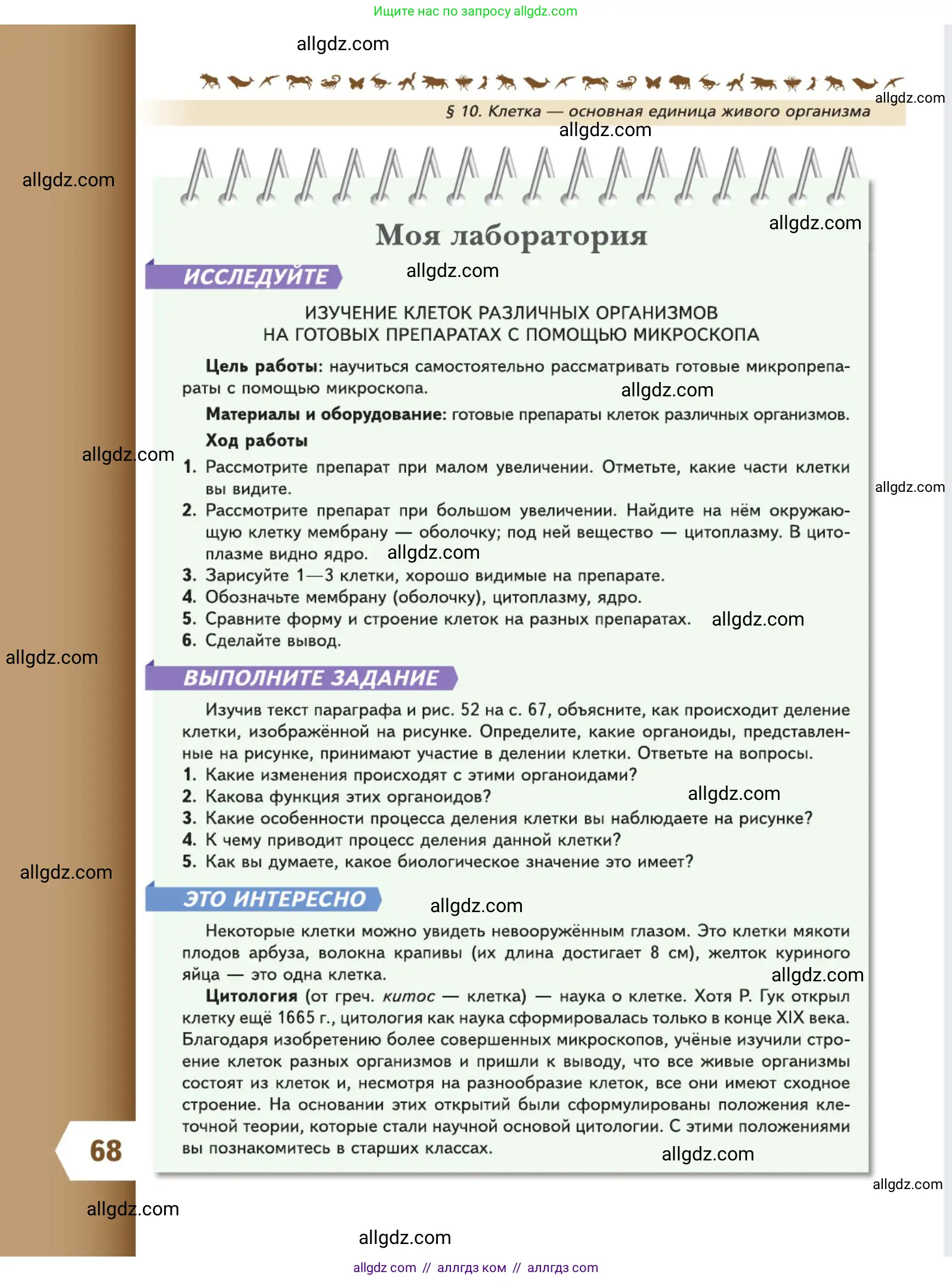 Биология, 5 класс Учебник, авторы: Пасечник Владимир Васильевич, Суматохин Сергей Витальевич, Гапонюк Зоя Георгиевна, Швецов Глеб Геннадьевич, издательство Просвещение, Москва, 2023, белого цвета, страница 68