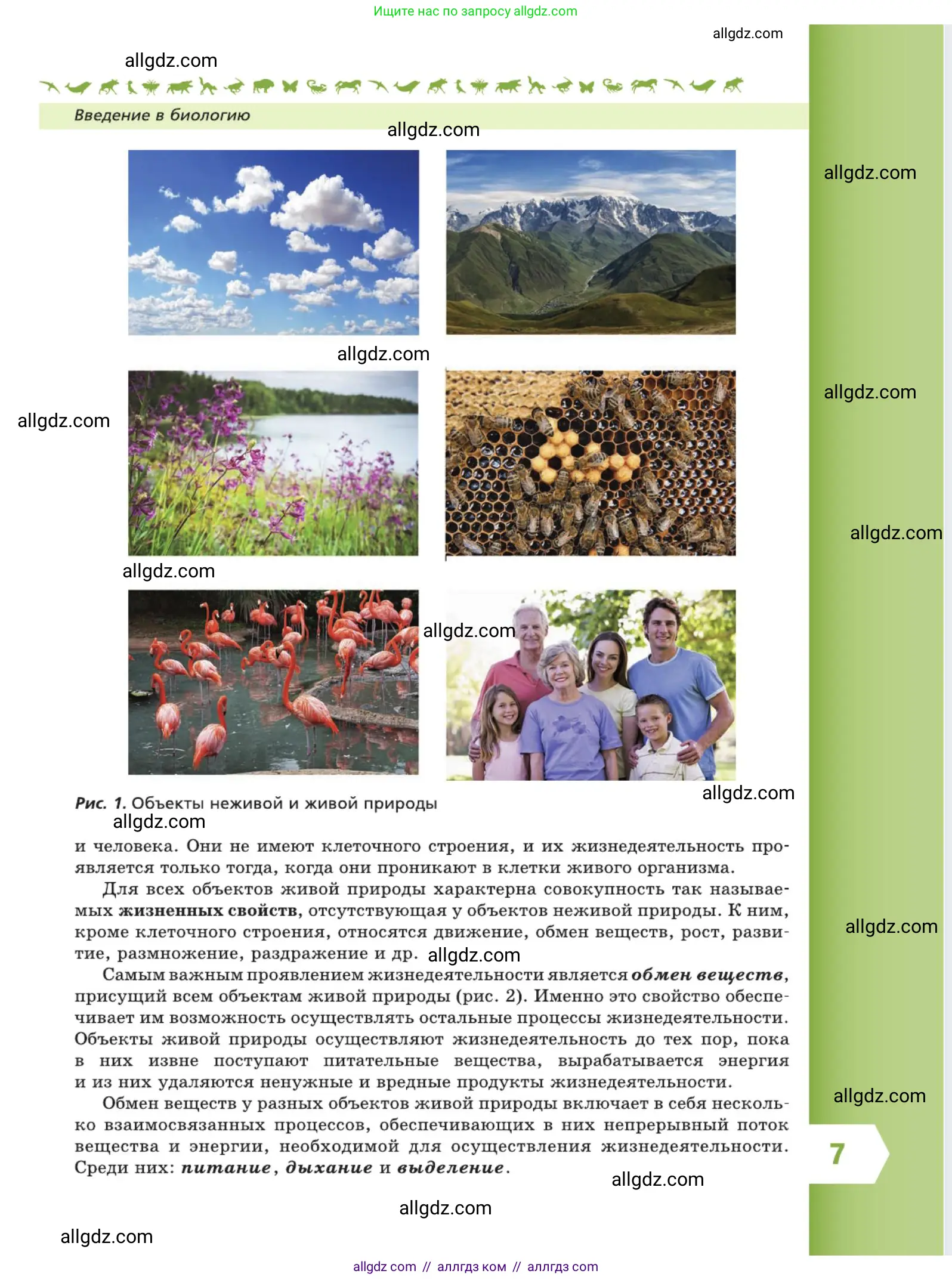 Биология, 5 класс Учебник, авторы: Пасечник Владимир Васильевич, Суматохин Сергей Витальевич, Гапонюк Зоя Георгиевна, Швецов Глеб Геннадьевич, издательство Просвещение, Москва, 2023, белого цвета, страница 7
