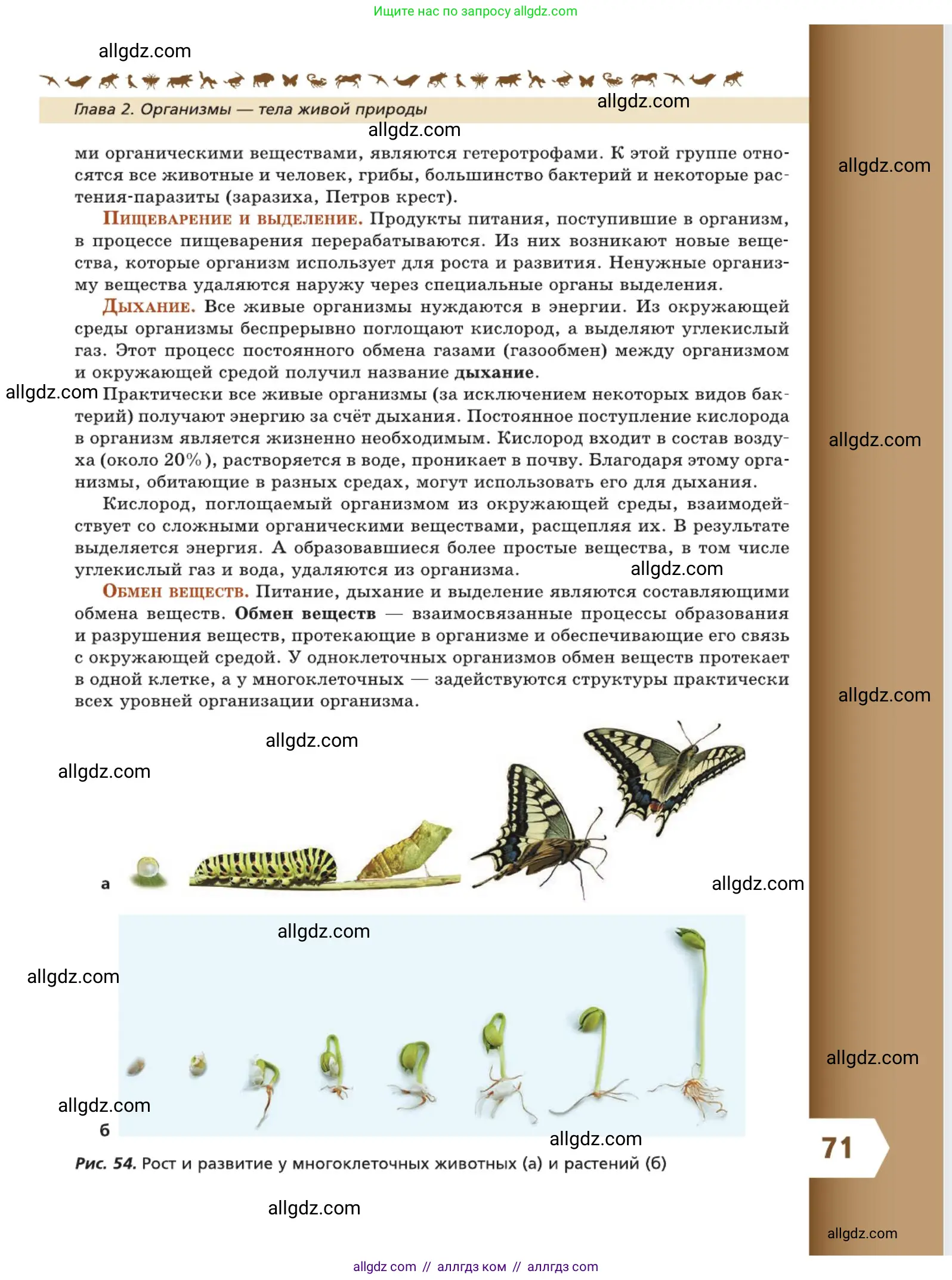 Биология, 5 класс Учебник, авторы: Пасечник Владимир Васильевич, Суматохин Сергей Витальевич, Гапонюк Зоя Георгиевна, Швецов Глеб Геннадьевич, издательство Просвещение, Москва, 2023, белого цвета, страница 71