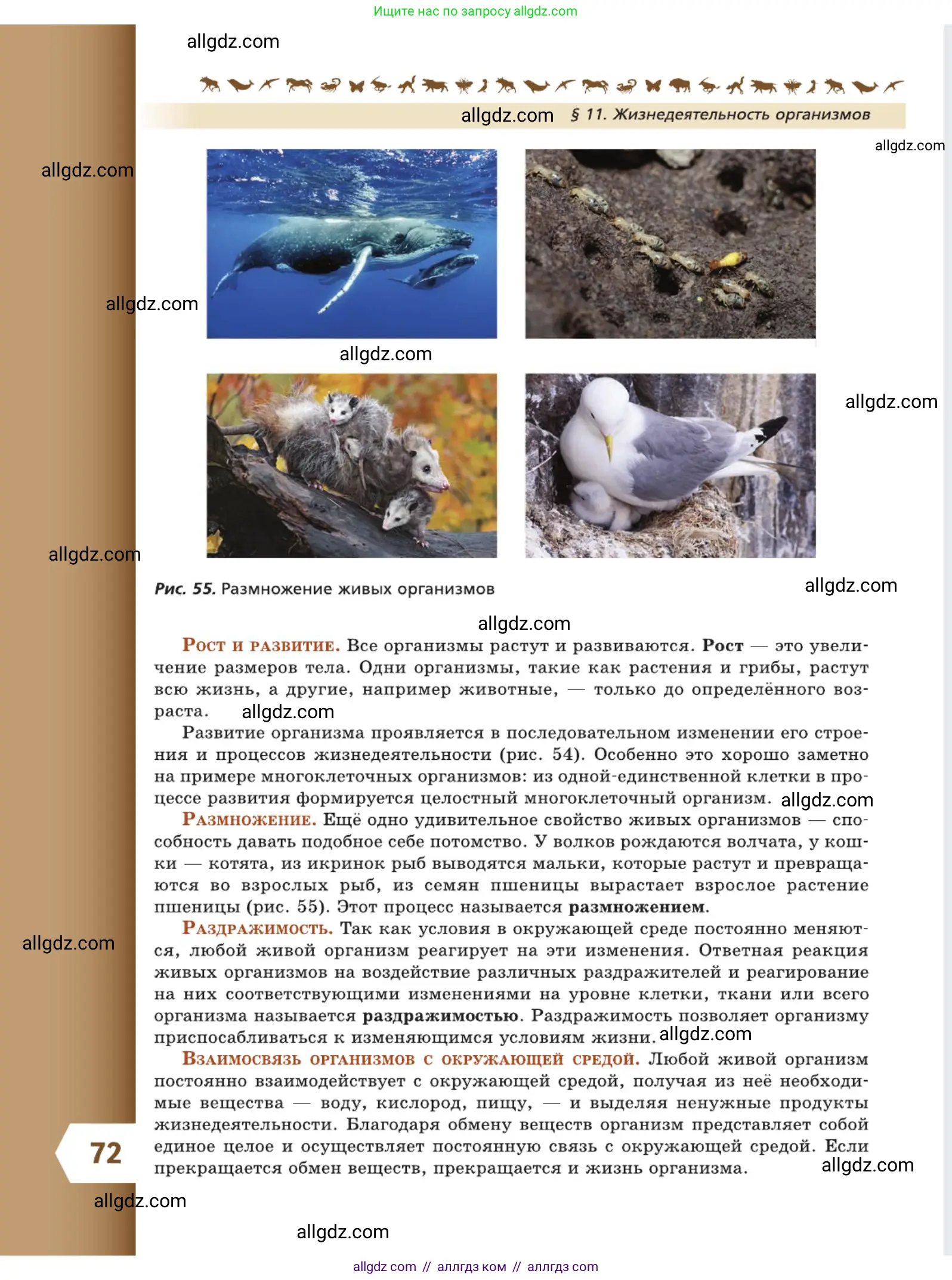 Биология, 5 класс Учебник, авторы: Пасечник Владимир Васильевич, Суматохин Сергей Витальевич, Гапонюк Зоя Георгиевна, Швецов Глеб Геннадьевич, издательство Просвещение, Москва, 2023, белого цвета, страница 72