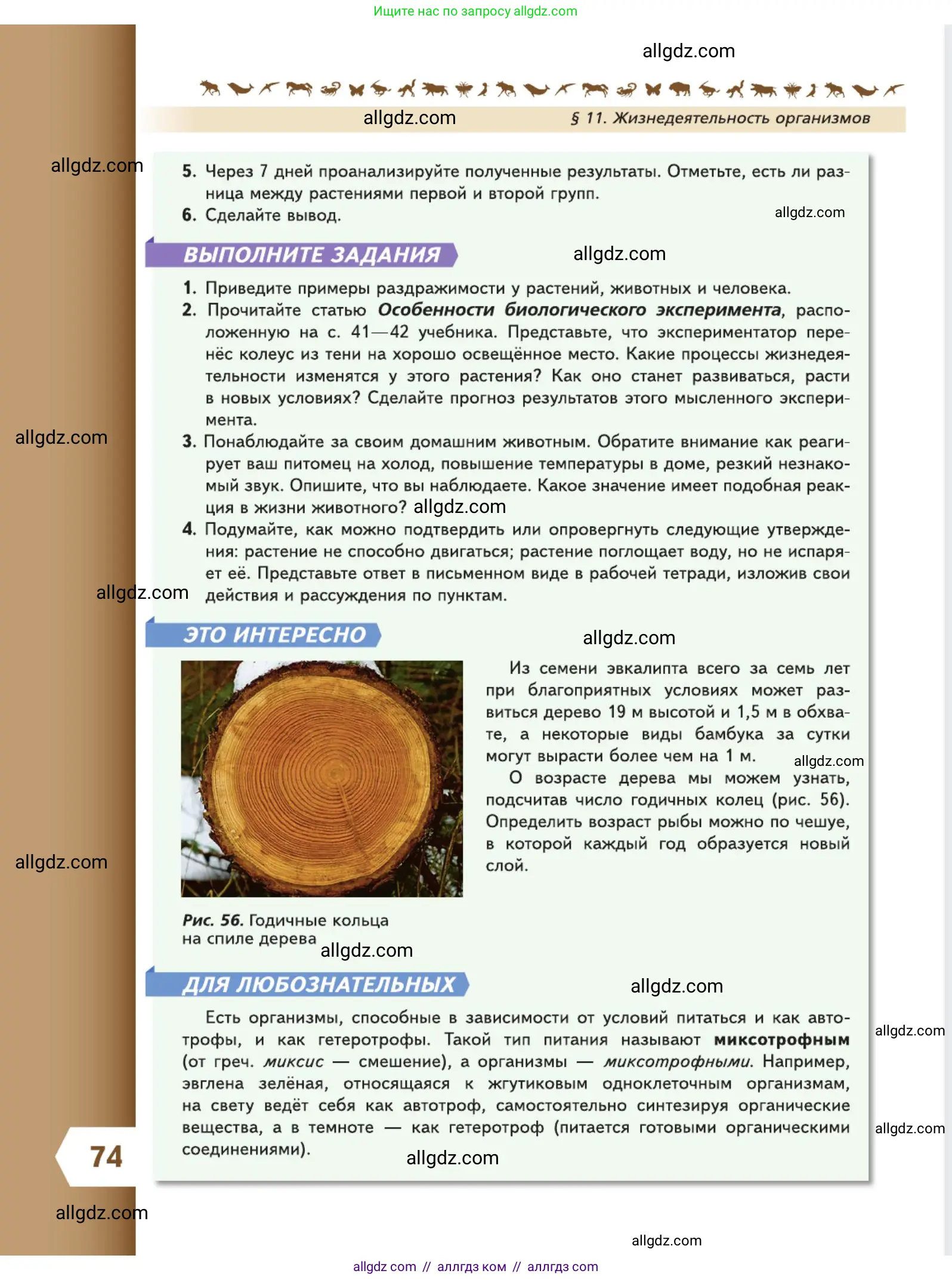 Биология, 5 класс Учебник, авторы: Пасечник Владимир Васильевич, Суматохин Сергей Витальевич, Гапонюк Зоя Георгиевна, Швецов Глеб Геннадьевич, издательство Просвещение, Москва, 2023, белого цвета, страница 74