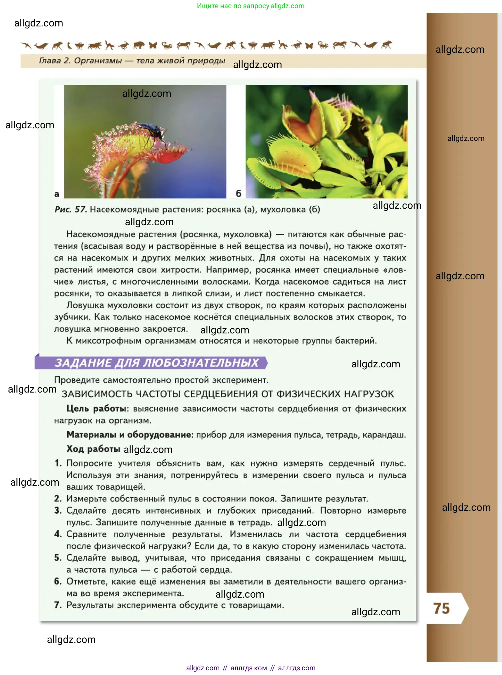 Биология, 5 класс Учебник, авторы: Пасечник Владимир Васильевич, Суматохин Сергей Витальевич, Гапонюк Зоя Георгиевна, Швецов Глеб Геннадьевич, издательство Просвещение, Москва, 2023, белого цвета, страница 75