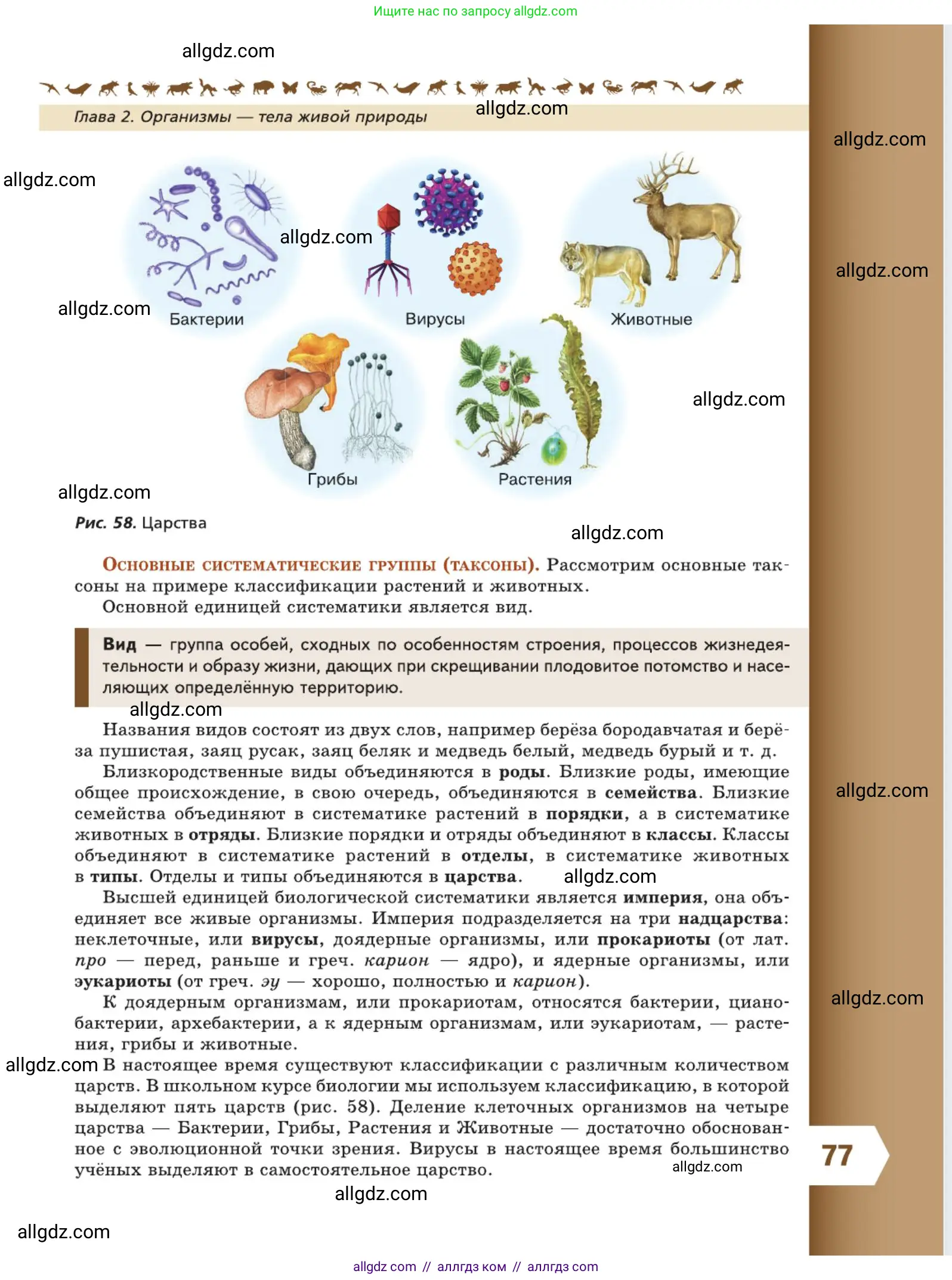 Биология, 5 класс Учебник, авторы: Пасечник Владимир Васильевич, Суматохин Сергей Витальевич, Гапонюк Зоя Георгиевна, Швецов Глеб Геннадьевич, издательство Просвещение, Москва, 2023, белого цвета, страница 77