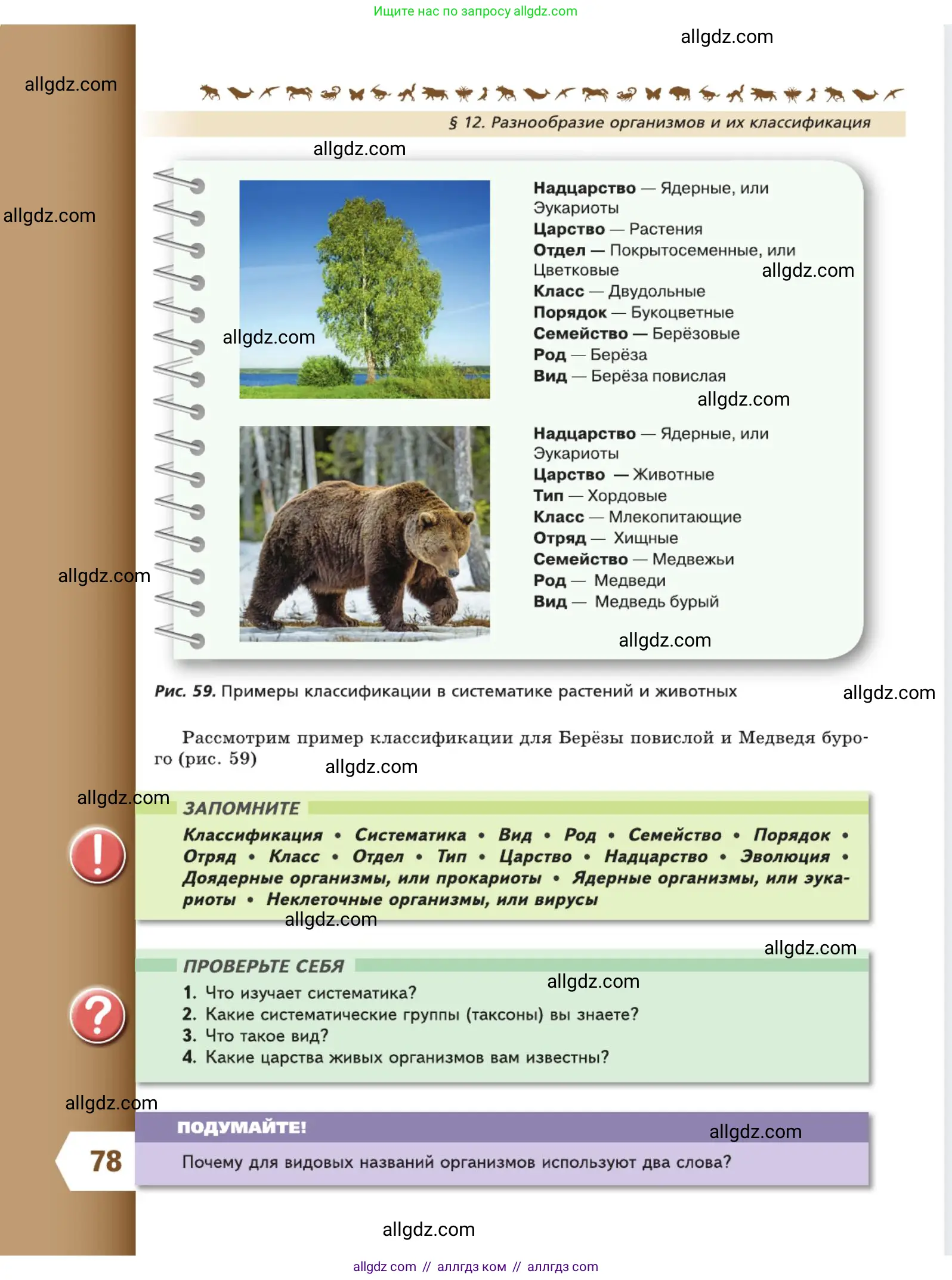 Биология, 5 класс Учебник, авторы: Пасечник Владимир Васильевич, Суматохин Сергей Витальевич, Гапонюк Зоя Георгиевна, Швецов Глеб Геннадьевич, издательство Просвещение, Москва, 2023, белого цвета, страница 78