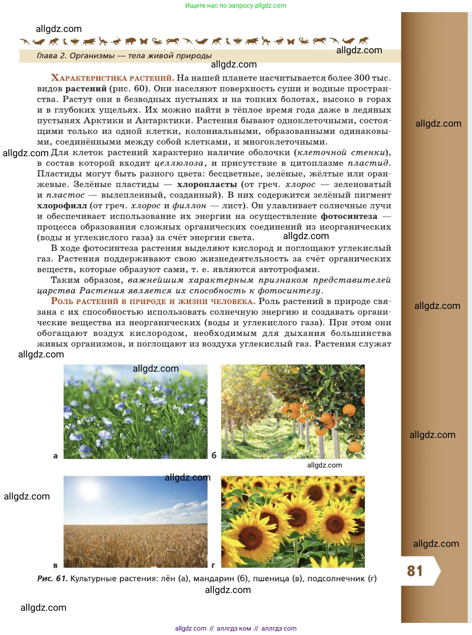 Биология, 5 класс Учебник, авторы: Пасечник Владимир Васильевич, Суматохин Сергей Витальевич, Гапонюк Зоя Георгиевна, Швецов Глеб Геннадьевич, издательство Просвещение, Москва, 2023, белого цвета, страница 81