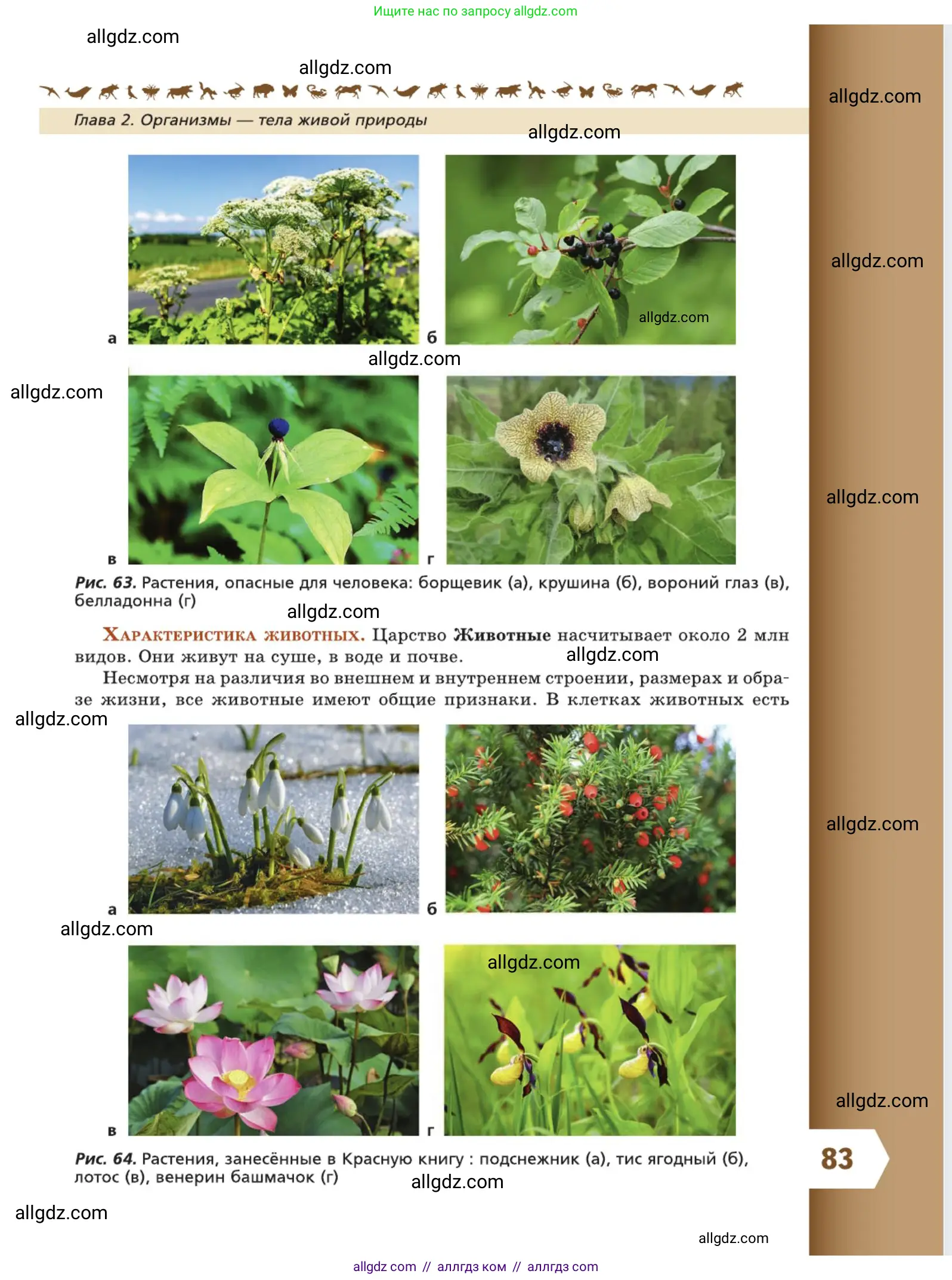 Биология, 5 класс Учебник, авторы: Пасечник Владимир Васильевич, Суматохин Сергей Витальевич, Гапонюк Зоя Георгиевна, Швецов Глеб Геннадьевич, издательство Просвещение, Москва, 2023, белого цвета, страница 83