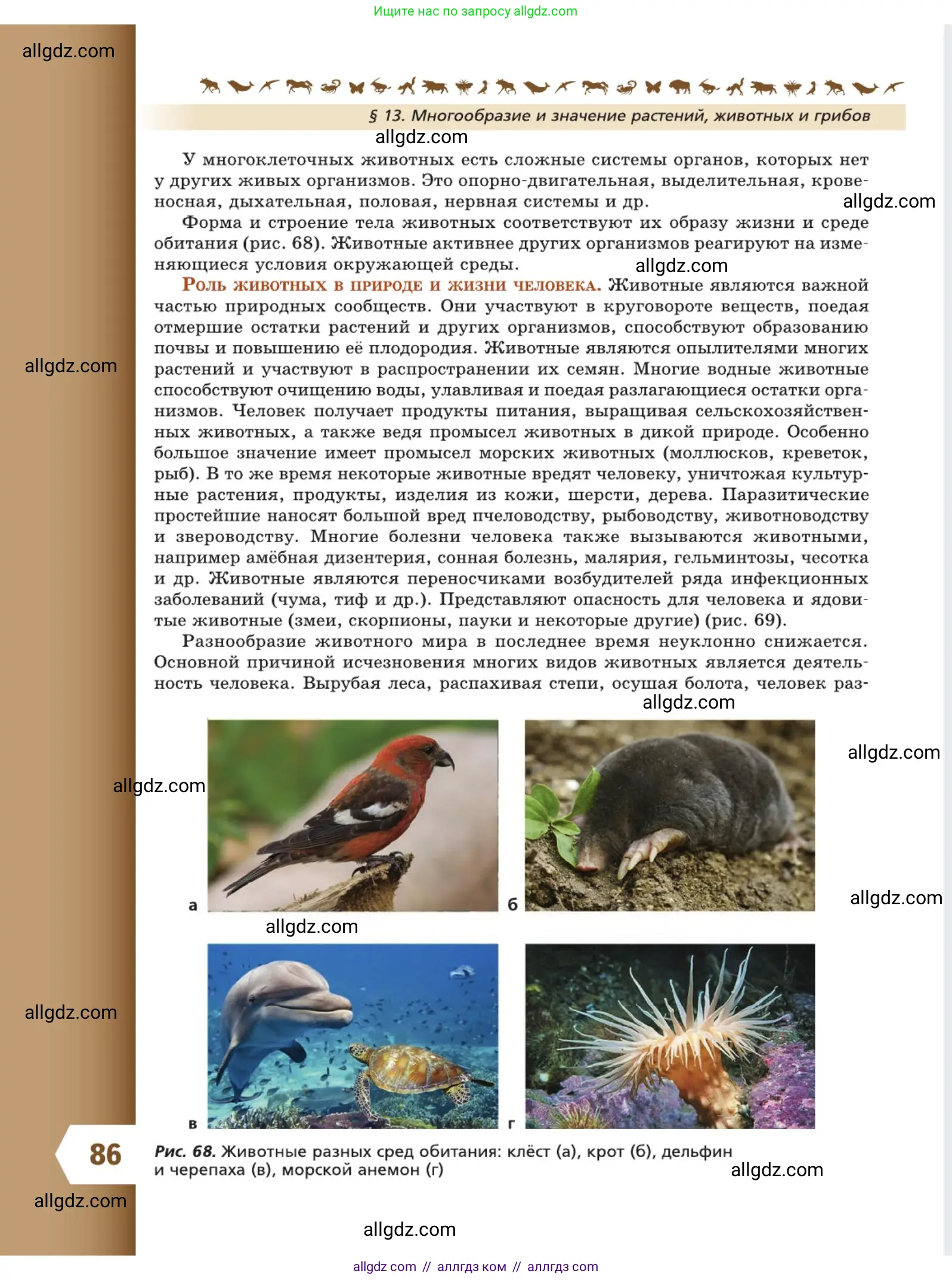 Биология, 5 класс Учебник, авторы: Пасечник Владимир Васильевич, Суматохин Сергей Витальевич, Гапонюк Зоя Георгиевна, Швецов Глеб Геннадьевич, издательство Просвещение, Москва, 2023, белого цвета, страница 86