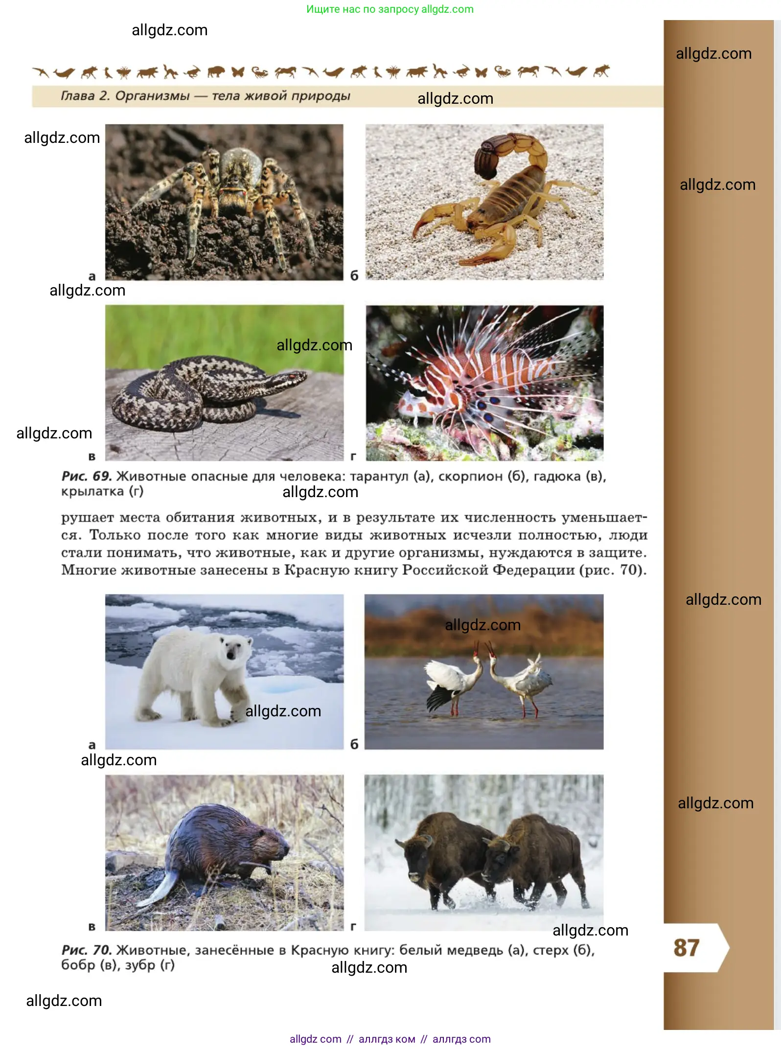 Биология, 5 класс Учебник, авторы: Пасечник Владимир Васильевич, Суматохин Сергей Витальевич, Гапонюк Зоя Георгиевна, Швецов Глеб Геннадьевич, издательство Просвещение, Москва, 2023, белого цвета, страница 87