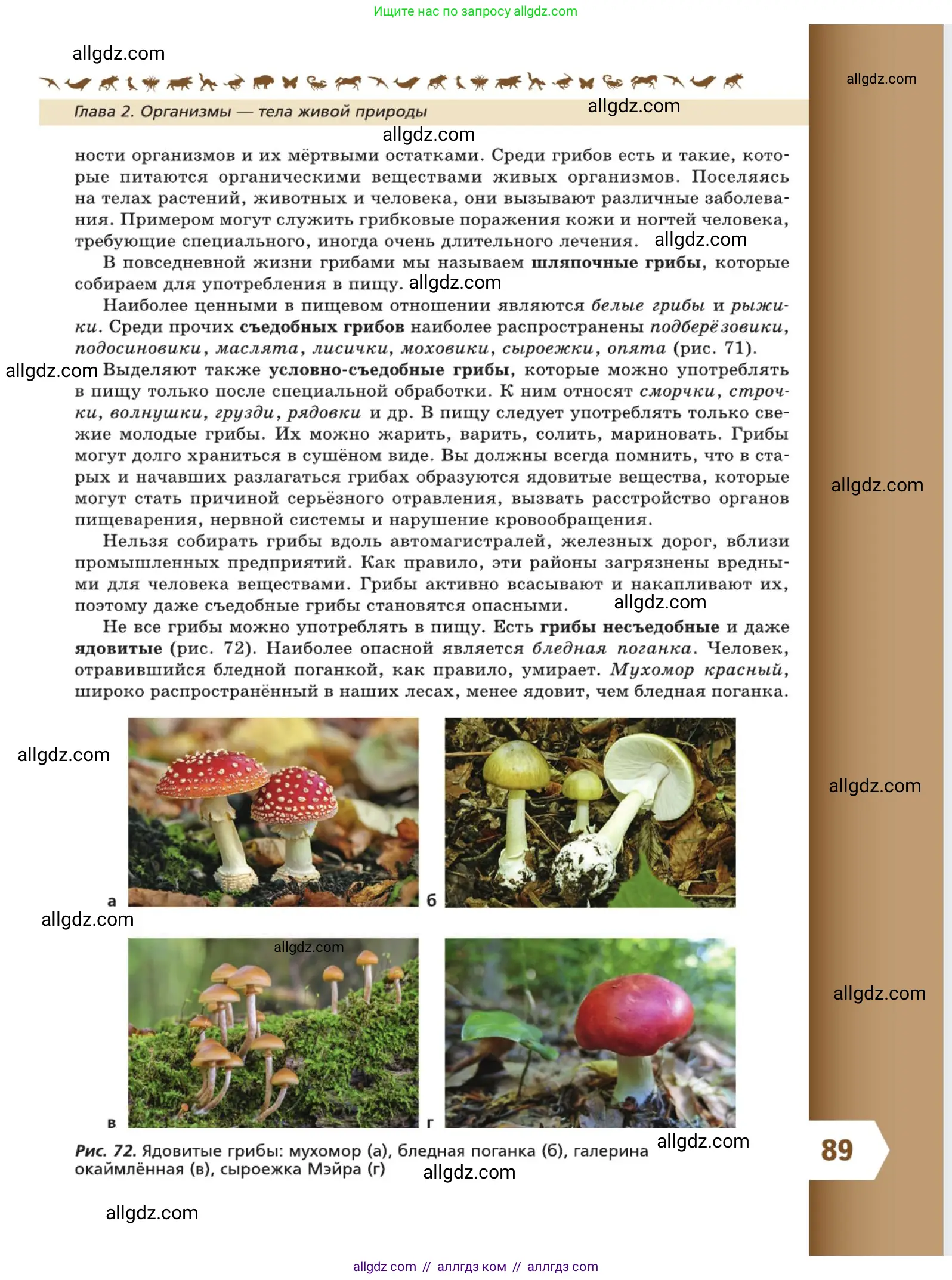 Биология, 5 класс Учебник, авторы: Пасечник Владимир Васильевич, Суматохин Сергей Витальевич, Гапонюк Зоя Георгиевна, Швецов Глеб Геннадьевич, издательство Просвещение, Москва, 2023, белого цвета, страница 89