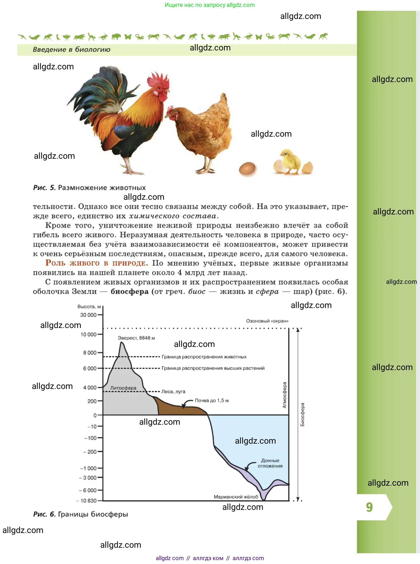 Биология, 5 класс Учебник, авторы: Пасечник Владимир Васильевич, Суматохин Сергей Витальевич, Гапонюк Зоя Георгиевна, Швецов Глеб Геннадьевич, издательство Просвещение, Москва, 2023, белого цвета, страница 9