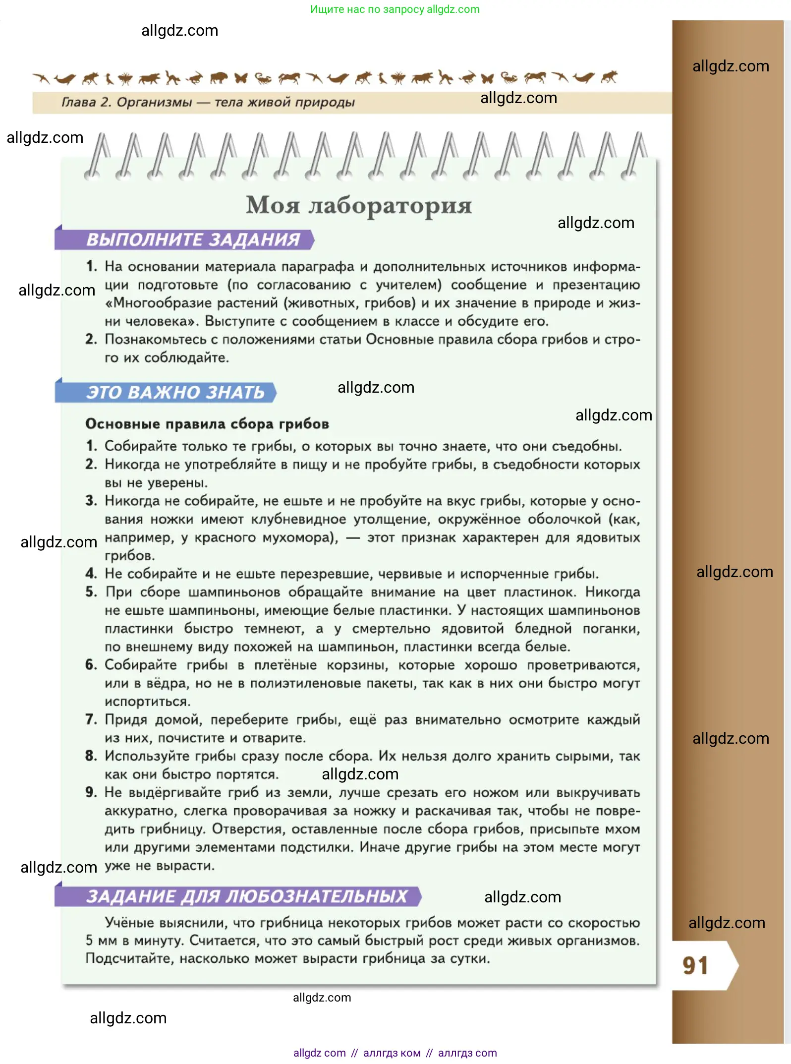 Биология, 5 класс Учебник, авторы: Пасечник Владимир Васильевич, Суматохин Сергей Витальевич, Гапонюк Зоя Георгиевна, Швецов Глеб Геннадьевич, издательство Просвещение, Москва, 2023, белого цвета, страница 91