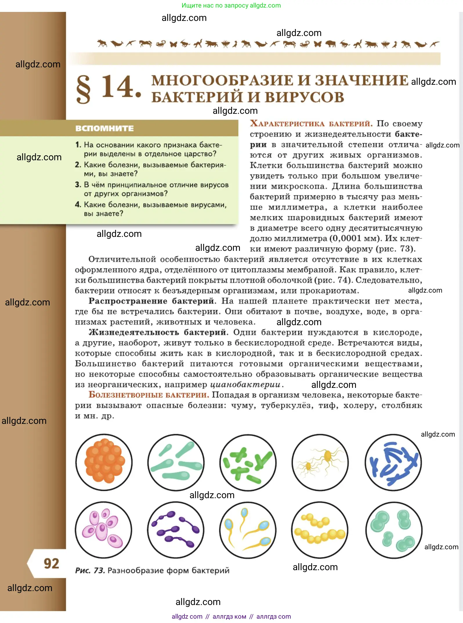 Биология, 5 класс Учебник, авторы: Пасечник Владимир Васильевич, Суматохин Сергей Витальевич, Гапонюк Зоя Георгиевна, Швецов Глеб Геннадьевич, издательство Просвещение, Москва, 2023, белого цвета, страница 92