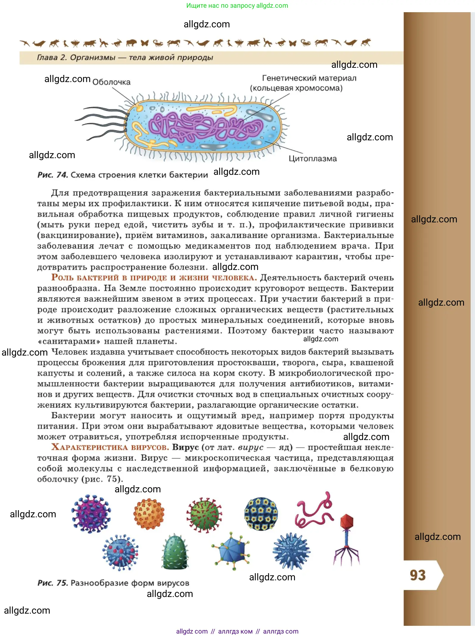 Биология, 5 класс Учебник, авторы: Пасечник Владимир Васильевич, Суматохин Сергей Витальевич, Гапонюк Зоя Георгиевна, Швецов Глеб Геннадьевич, издательство Просвещение, Москва, 2023, белого цвета, страница 93