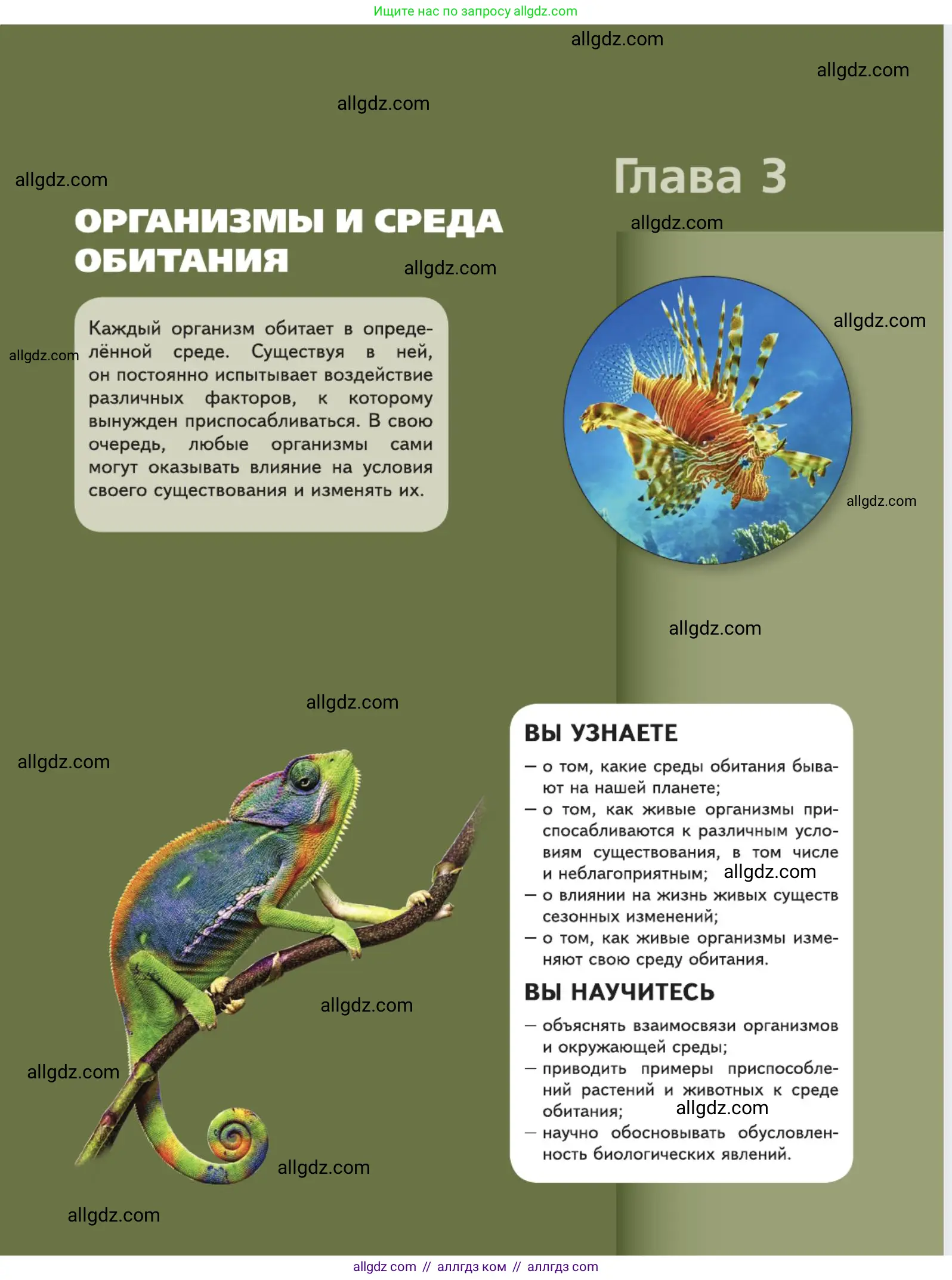 Биология, 5 класс Учебник, авторы: Пасечник Владимир Васильевич, Суматохин Сергей Витальевич, Гапонюк Зоя Георгиевна, Швецов Глеб Геннадьевич, издательство Просвещение, Москва, 2023, белого цвета, страница 97