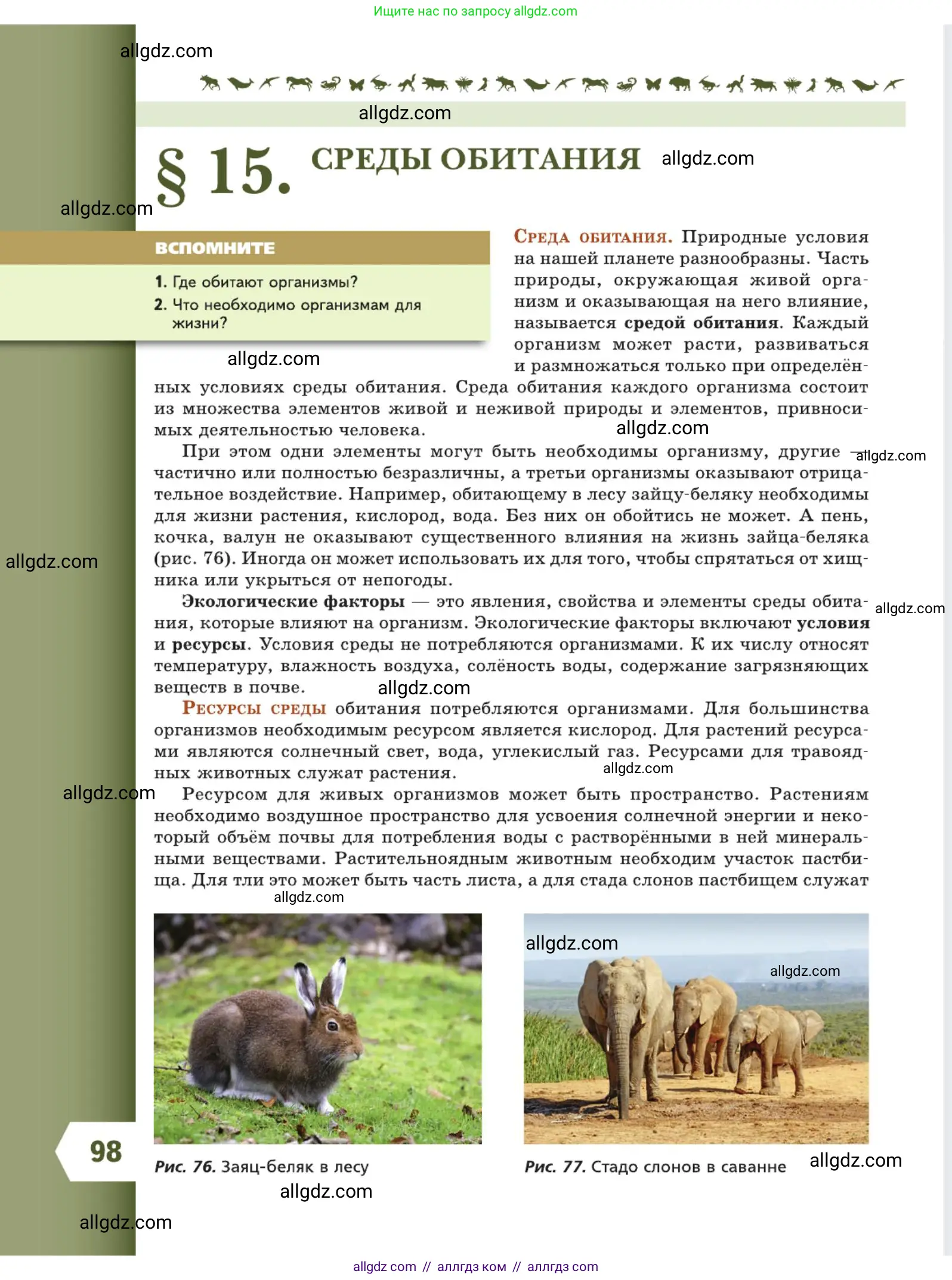 Биология, 5 класс Учебник, авторы: Пасечник Владимир Васильевич, Суматохин Сергей Витальевич, Гапонюк Зоя Георгиевна, Швецов Глеб Геннадьевич, издательство Просвещение, Москва, 2023, белого цвета, страница 98