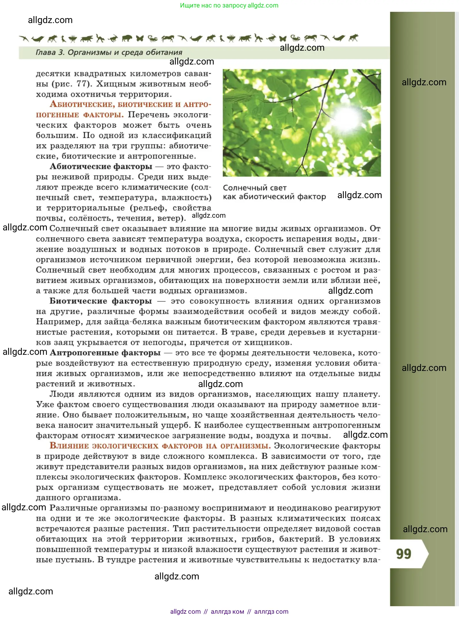 Биология, 5 класс Учебник, авторы: Пасечник Владимир Васильевич, Суматохин Сергей Витальевич, Гапонюк Зоя Георгиевна, Швецов Глеб Геннадьевич, издательство Просвещение, Москва, 2023, белого цвета, страница 99