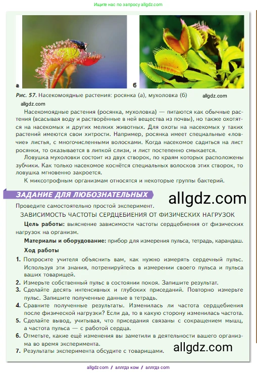 Биология, 5 класс Учебник, авторы: Пасечник Владимир Васильевич, Суматохин Сергей Витальевич, Гапонюк Зоя Георгиевна, Швецов Глеб Геннадьевич, издательство Просвещение, Москва, 2023, белого цвета, страница 73, Условие (продолжение 3)