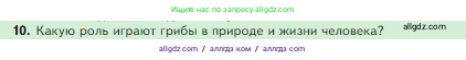Биология, 5 класс Учебник, авторы: Пасечник Владимир Васильевич, Суматохин Сергей Витальевич, Гапонюк Зоя Георгиевна, Швецов Глеб Геннадьевич, издательство Просвещение, Москва, 2023, белого цвета, страница 90, номер 10, Условие