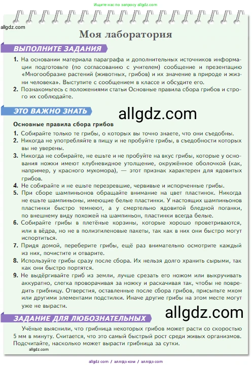 Биология, 5 класс Учебник, авторы: Пасечник Владимир Васильевич, Суматохин Сергей Витальевич, Гапонюк Зоя Георгиевна, Швецов Глеб Геннадьевич, издательство Просвещение, Москва, 2023, белого цвета, страница 91, Условие