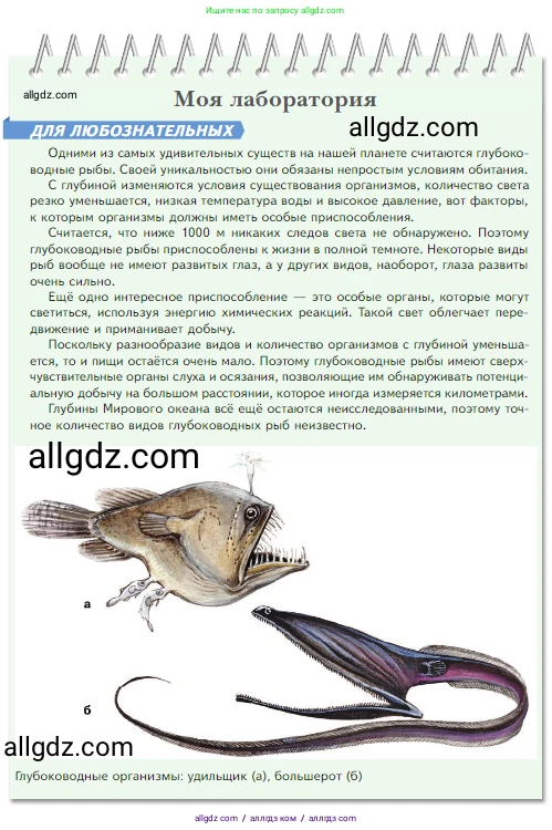Биология, 5 класс Учебник, авторы: Пасечник Владимир Васильевич, Суматохин Сергей Витальевич, Гапонюк Зоя Георгиевна, Швецов Глеб Геннадьевич, издательство Просвещение, Москва, 2023, белого цвета, страница 107, Условие