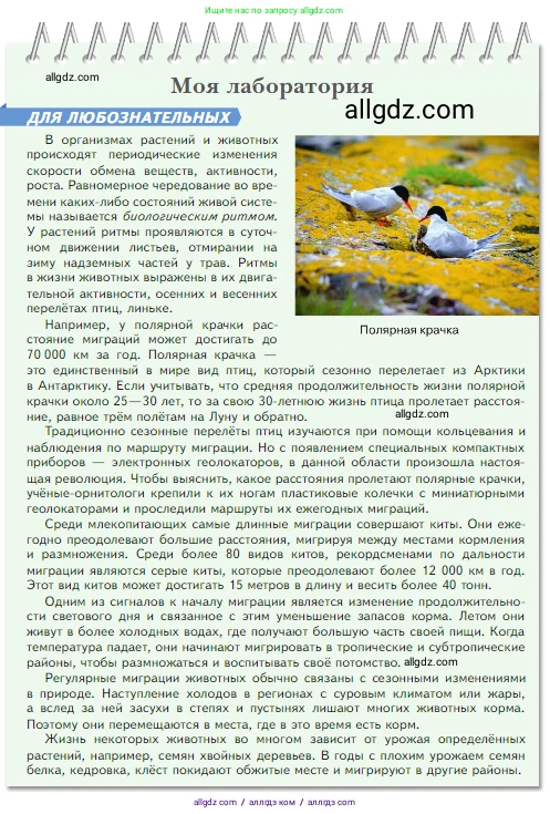 Биология, 5 класс Учебник, авторы: Пасечник Владимир Васильевич, Суматохин Сергей Витальевич, Гапонюк Зоя Георгиевна, Швецов Глеб Геннадьевич, издательство Просвещение, Москва, 2023, белого цвета, страница 113, Условие