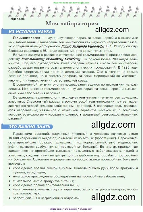 Биология, 5 класс Учебник, авторы: Пасечник Владимир Васильевич, Суматохин Сергей Витальевич, Гапонюк Зоя Георгиевна, Швецов Глеб Геннадьевич, издательство Просвещение, Москва, 2023, белого цвета, страница 121, Условие