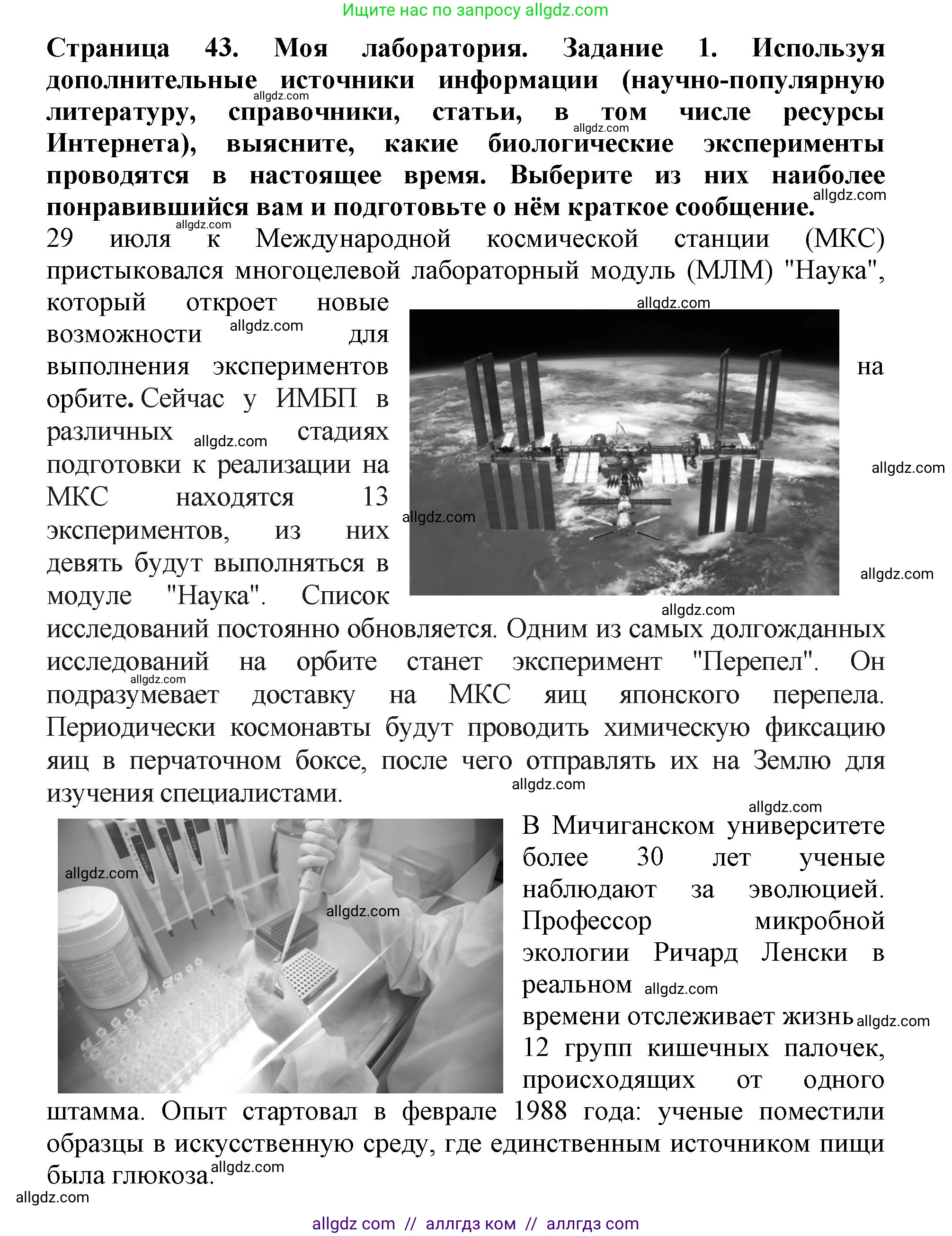 Биология, 5 класс Учебник, авторы: Пасечник Владимир Васильевич, Суматохин Сергей Витальевич, Гапонюк Зоя Георгиевна, Швецов Глеб Геннадьевич, издательство Просвещение, Москва, 2023, белого цвета, страница 43, Решение (продолжение 4)