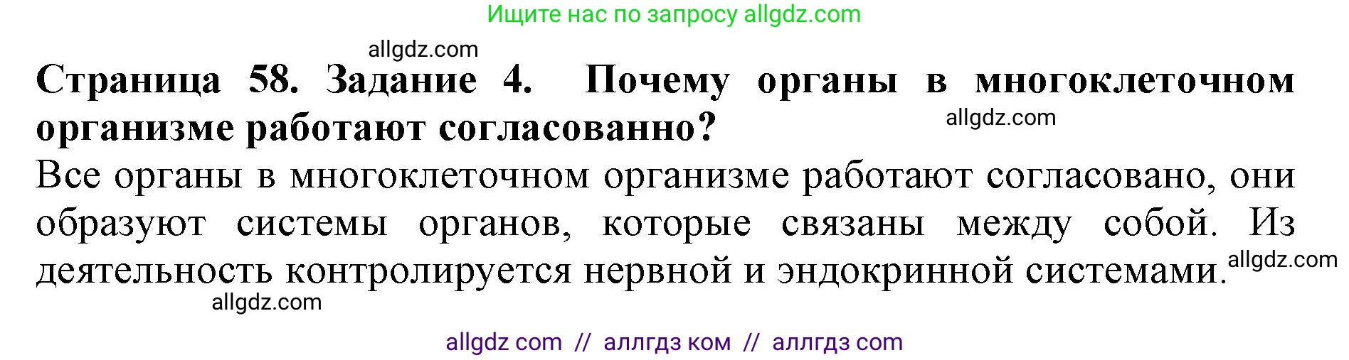 Биология, 5 класс Учебник, авторы: Пасечник Владимир Васильевич, Суматохин Сергей Витальевич, Гапонюк Зоя Георгиевна, Швецов Глеб Геннадьевич, издательство Просвещение, Москва, 2023, белого цвета, страница 58, номер 4, Решение