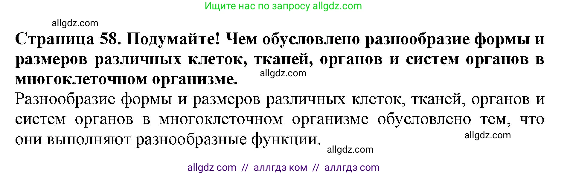 Биология, 5 класс Учебник, авторы: Пасечник Владимир Васильевич, Суматохин Сергей Витальевич, Гапонюк Зоя Георгиевна, Швецов Глеб Геннадьевич, издательство Просвещение, Москва, 2023, белого цвета, страница 58, Решение