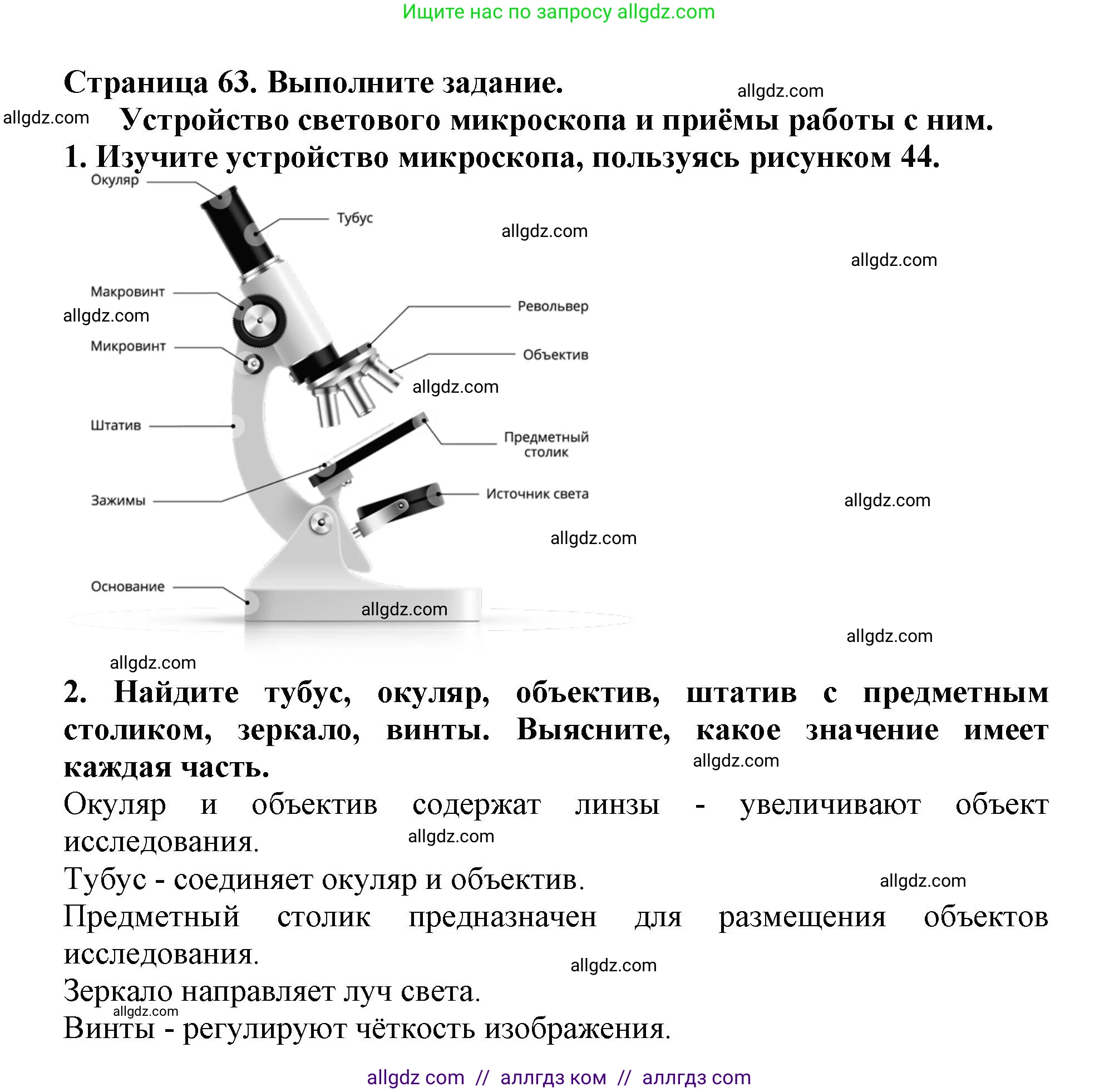 Биология, 5 класс Учебник, авторы: Пасечник Владимир Васильевич, Суматохин Сергей Витальевич, Гапонюк Зоя Георгиевна, Швецов Глеб Геннадьевич, издательство Просвещение, Москва, 2023, белого цвета, страница 62, Решение (продолжение 2)