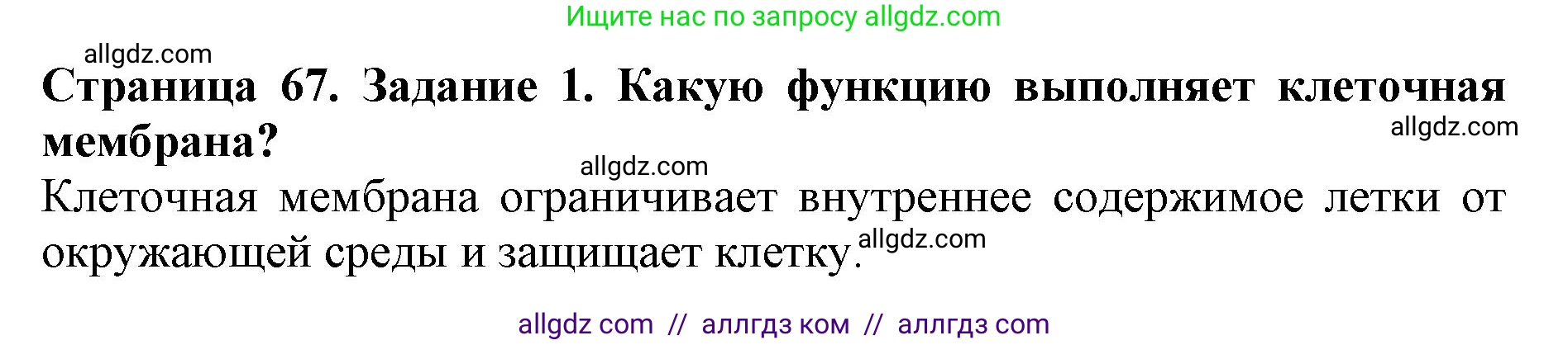 Биология, 5 класс Учебник, авторы: Пасечник Владимир Васильевич, Суматохин Сергей Витальевич, Гапонюк Зоя Георгиевна, Швецов Глеб Геннадьевич, издательство Просвещение, Москва, 2023, белого цвета, страница 67, номер 1, Решение