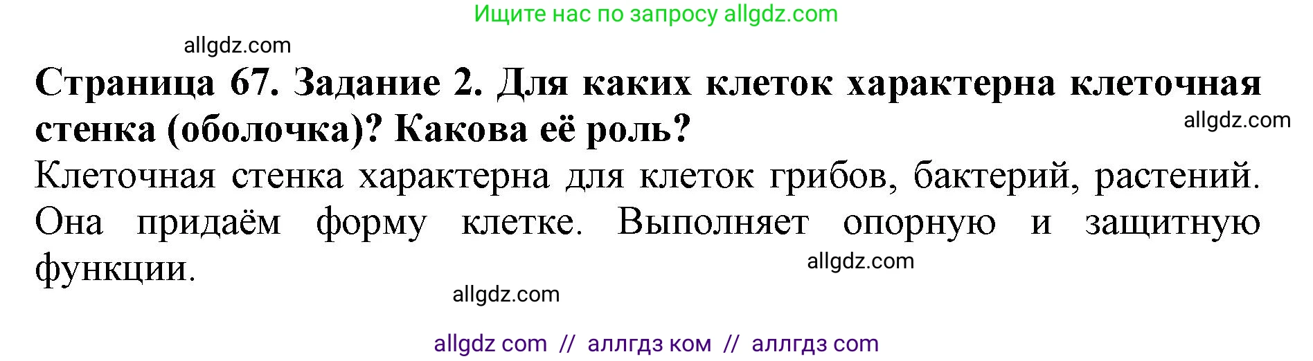 Биология, 5 класс Учебник, авторы: Пасечник Владимир Васильевич, Суматохин Сергей Витальевич, Гапонюк Зоя Георгиевна, Швецов Глеб Геннадьевич, издательство Просвещение, Москва, 2023, белого цвета, страница 67, номер 2, Решение
