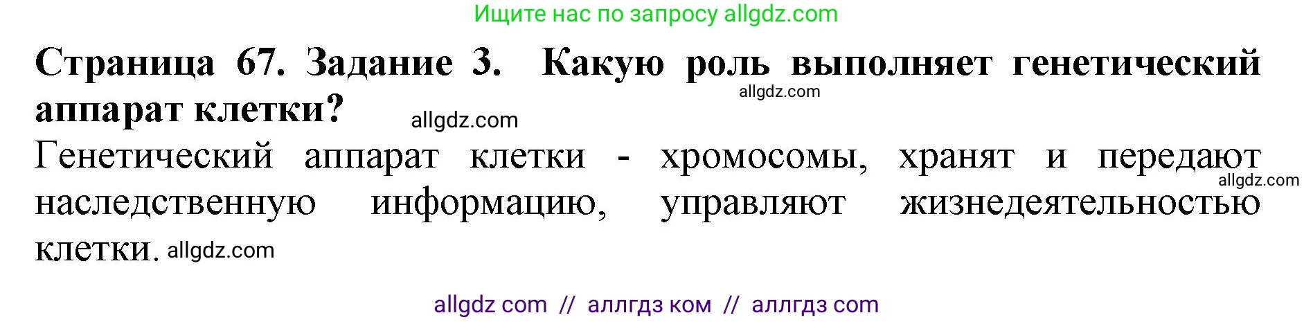 Биология, 5 класс Учебник, авторы: Пасечник Владимир Васильевич, Суматохин Сергей Витальевич, Гапонюк Зоя Георгиевна, Швецов Глеб Геннадьевич, издательство Просвещение, Москва, 2023, белого цвета, страница 67, номер 3, Решение